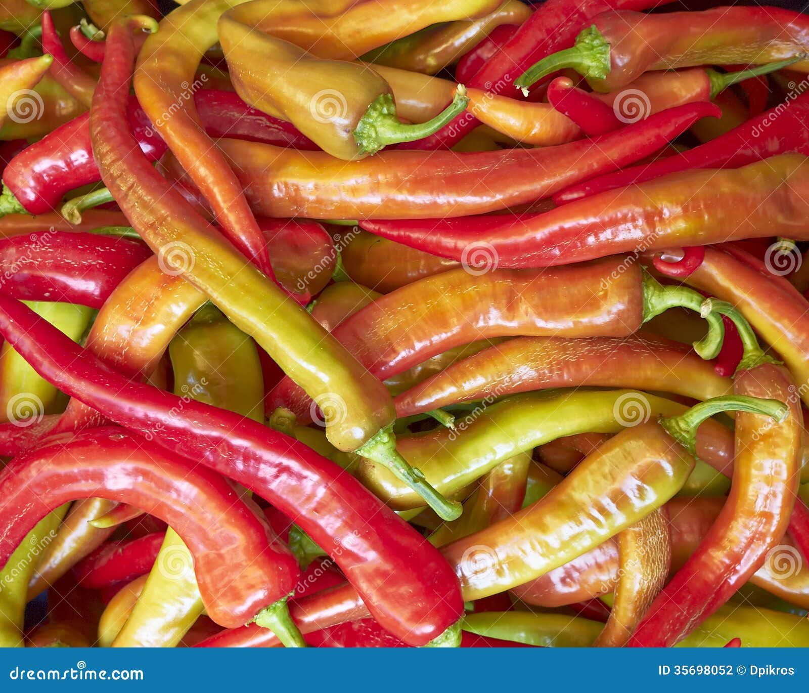 Red Hot Chilli Peppers for Sale Stock Photo Image of crop
