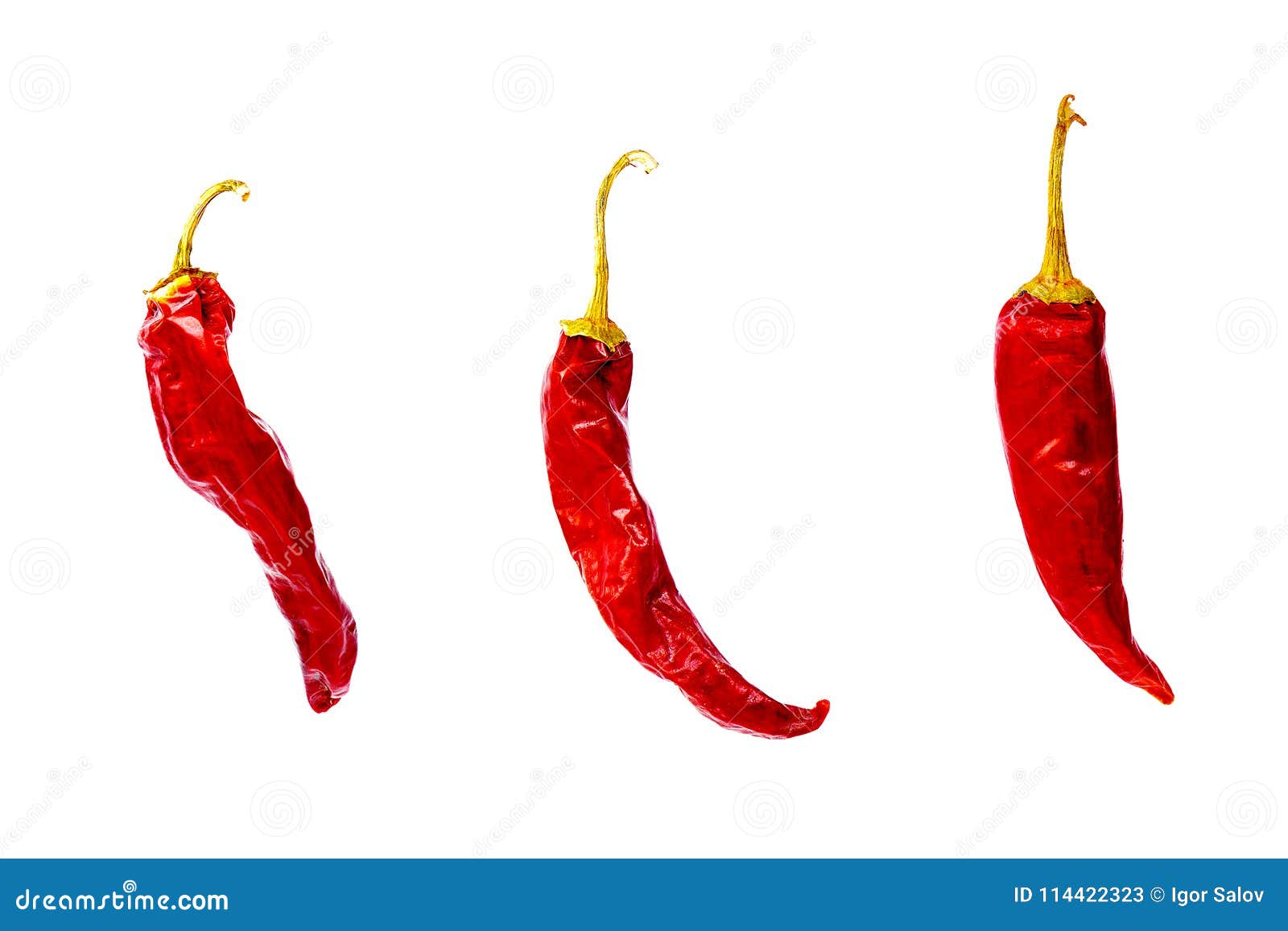 Red Hot Dry Burning Peppers Isolated on White Stock Image Image of