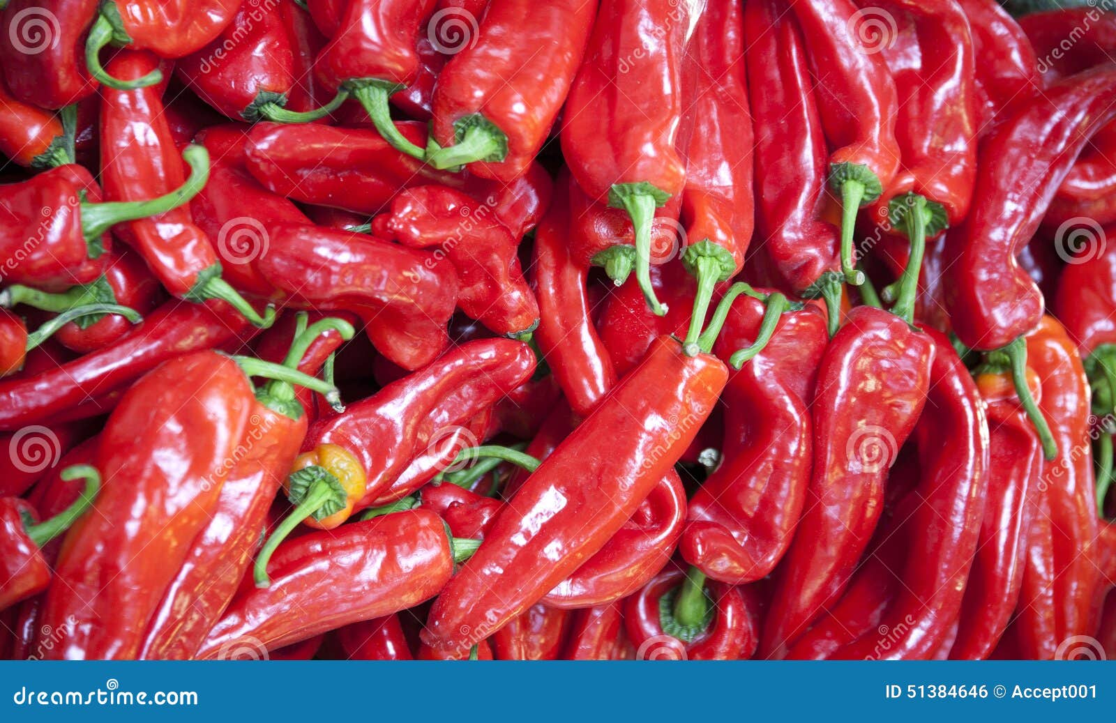 Red Hot Spicy Organic Hungarian Peppers As a Background Stock Photo - Image  of cookbook, decoration: 51384646