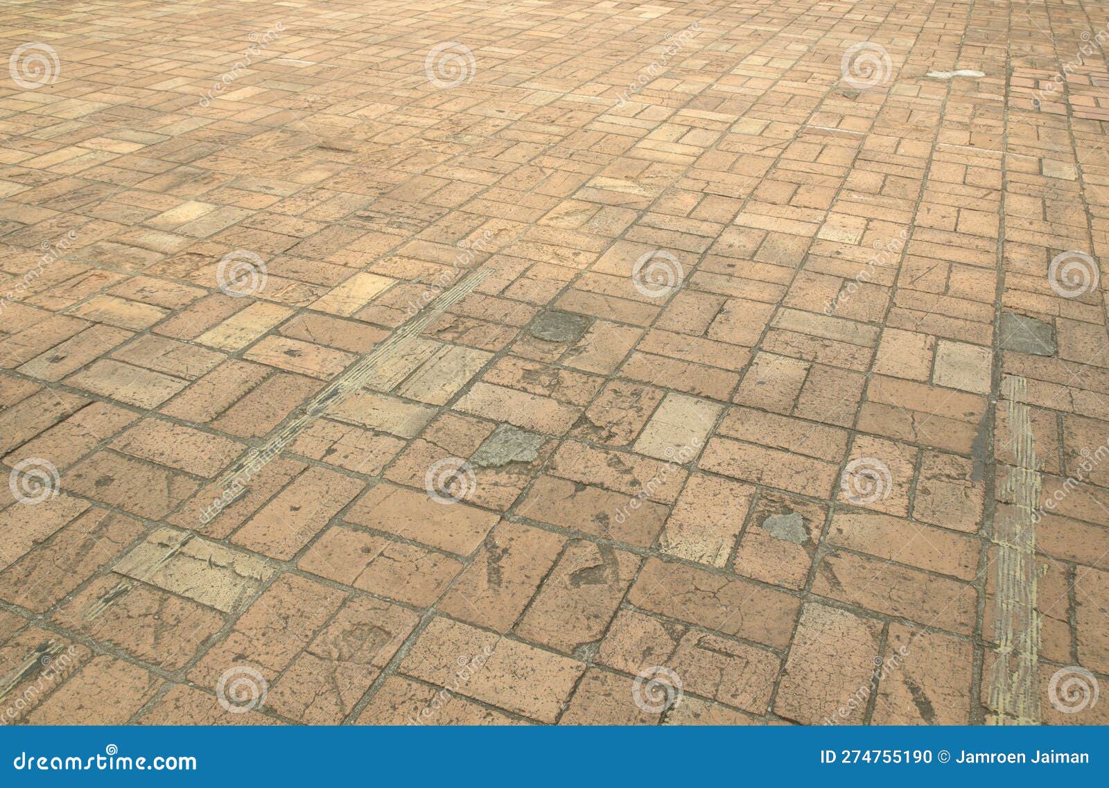 Red Interlocking Bricks on Patio Pavement Walkway for Pedestrians in