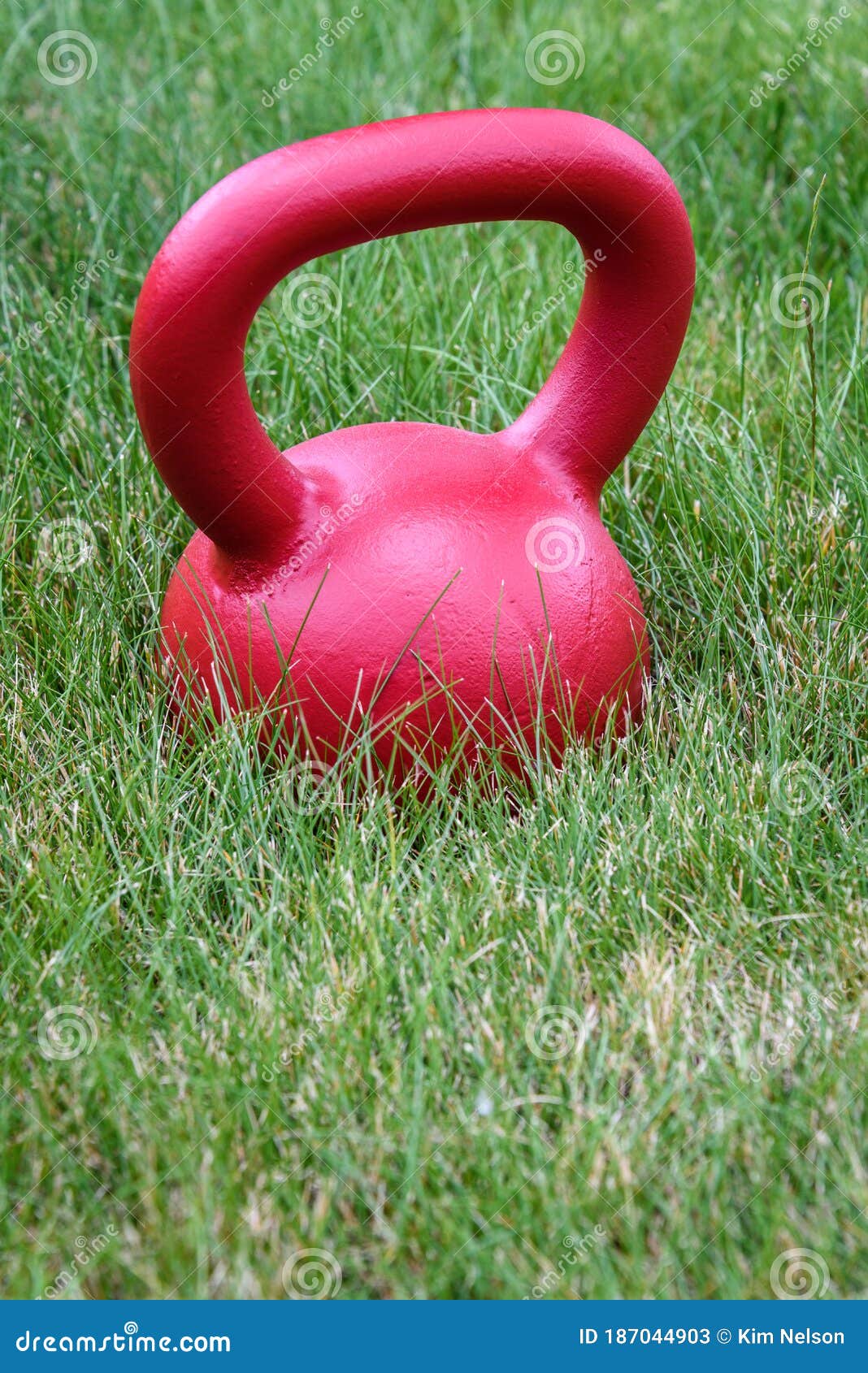 Red Kettle Bell on a Green Lawn, Ready for an Outdoor Workout Stock