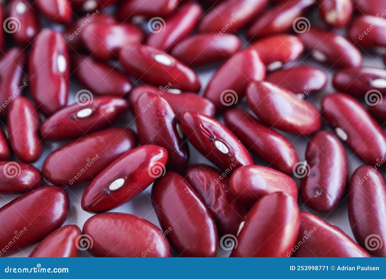 Red kidney beans stock image. Image of organic, salad 253998771