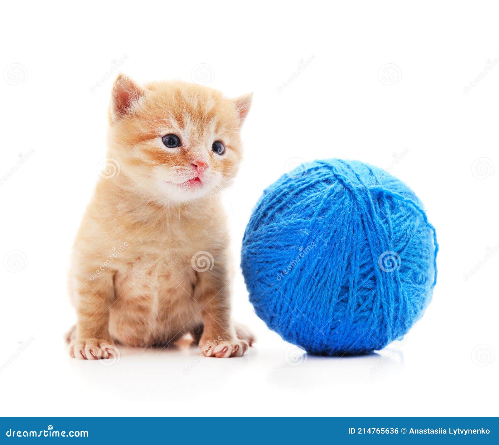 Kitten With Ball Of Yarn. Stock Photo 86217360