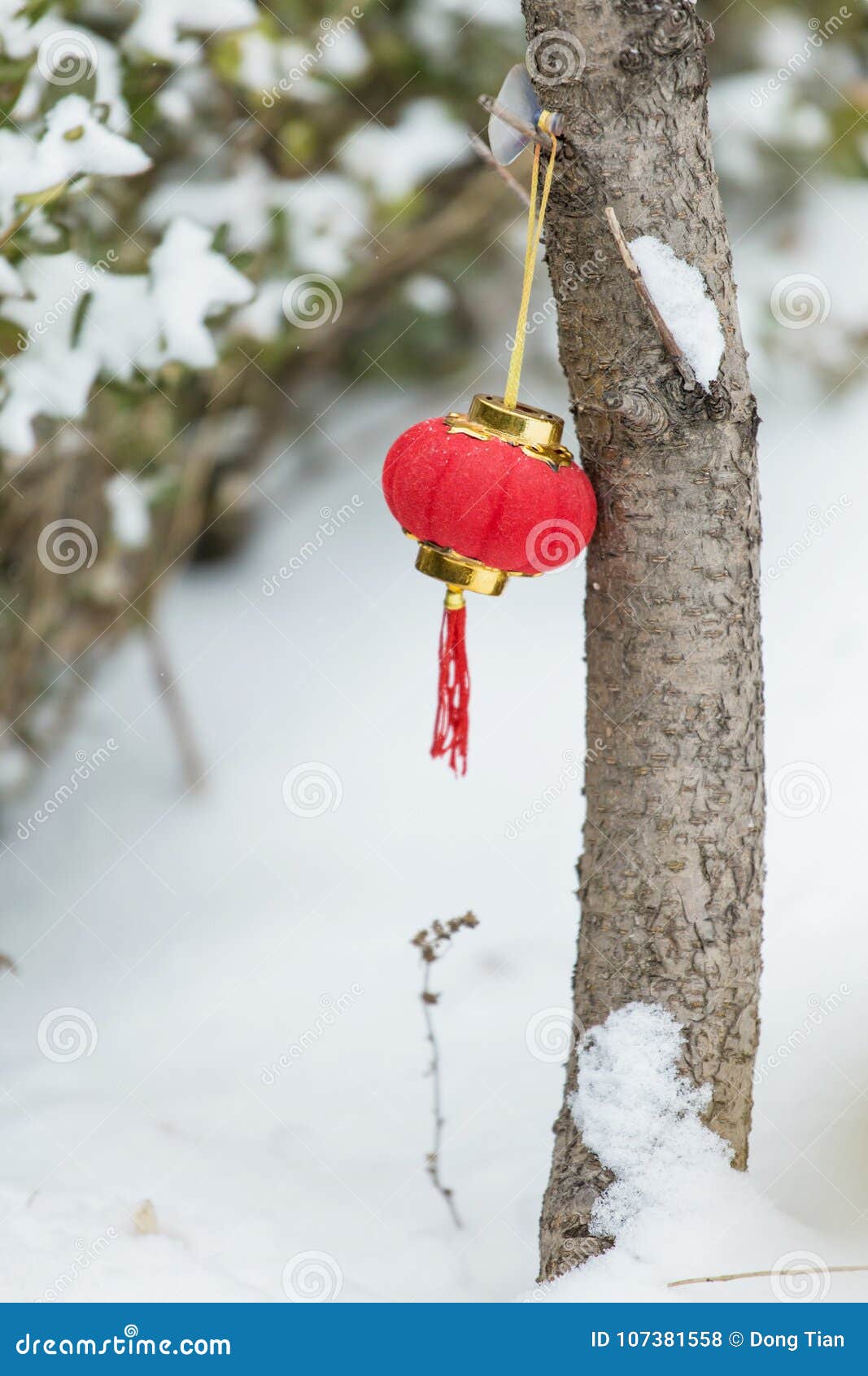 Red lanterns in the snow stock photo. Image of customs - 107381558