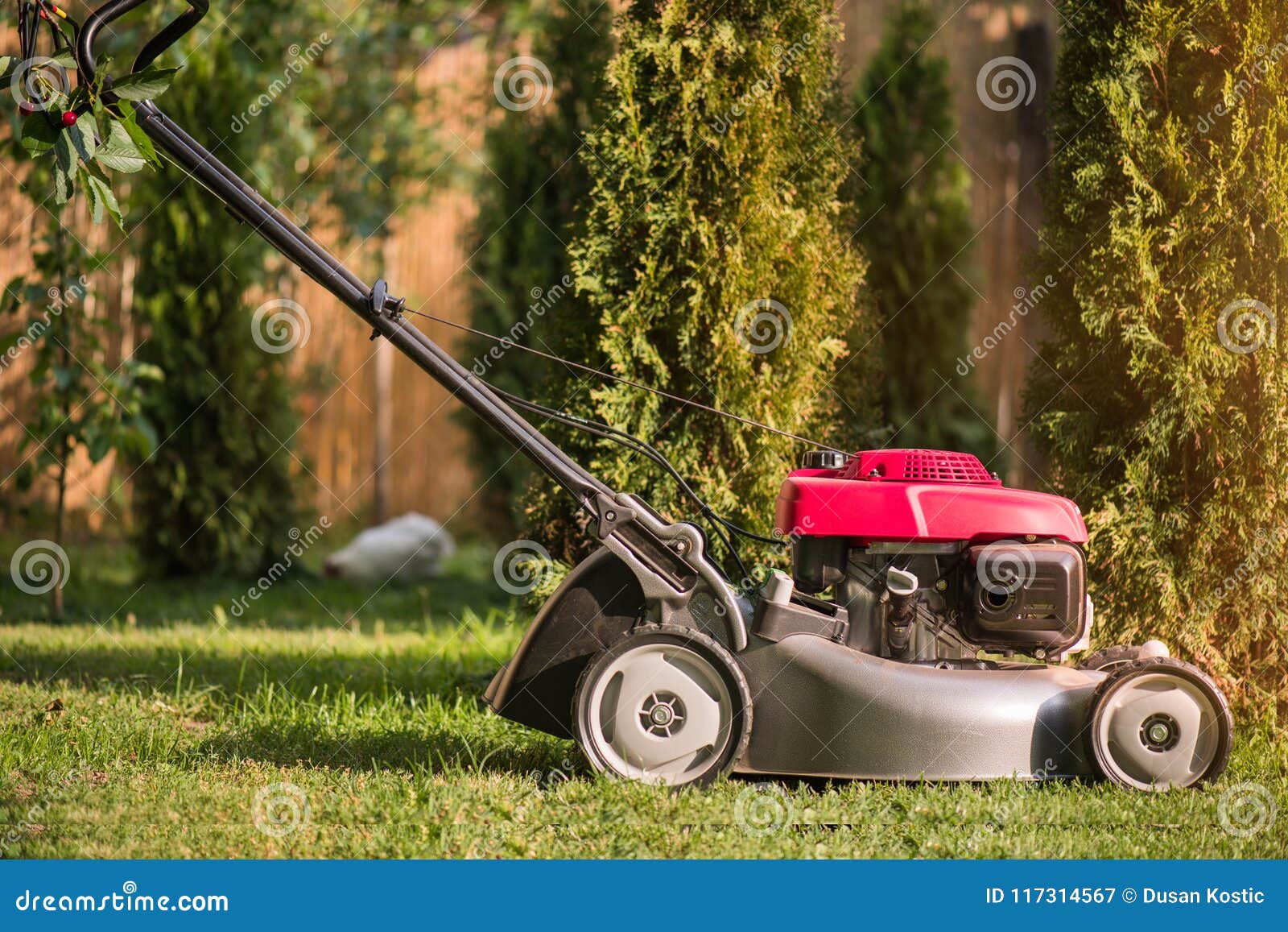 Lawn mower cutting grass stock image. Image of grassland 117314567