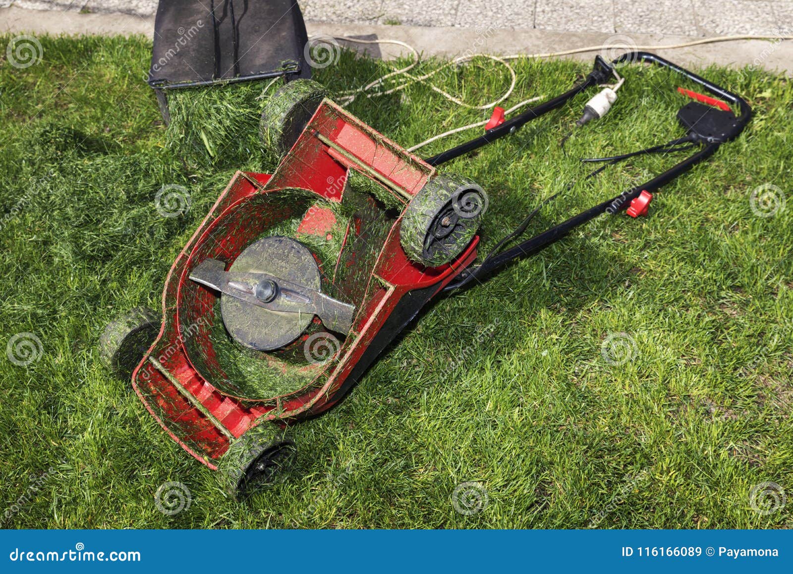 Red Lawn Mower Upside Down and Container Full of Grass Stock Image