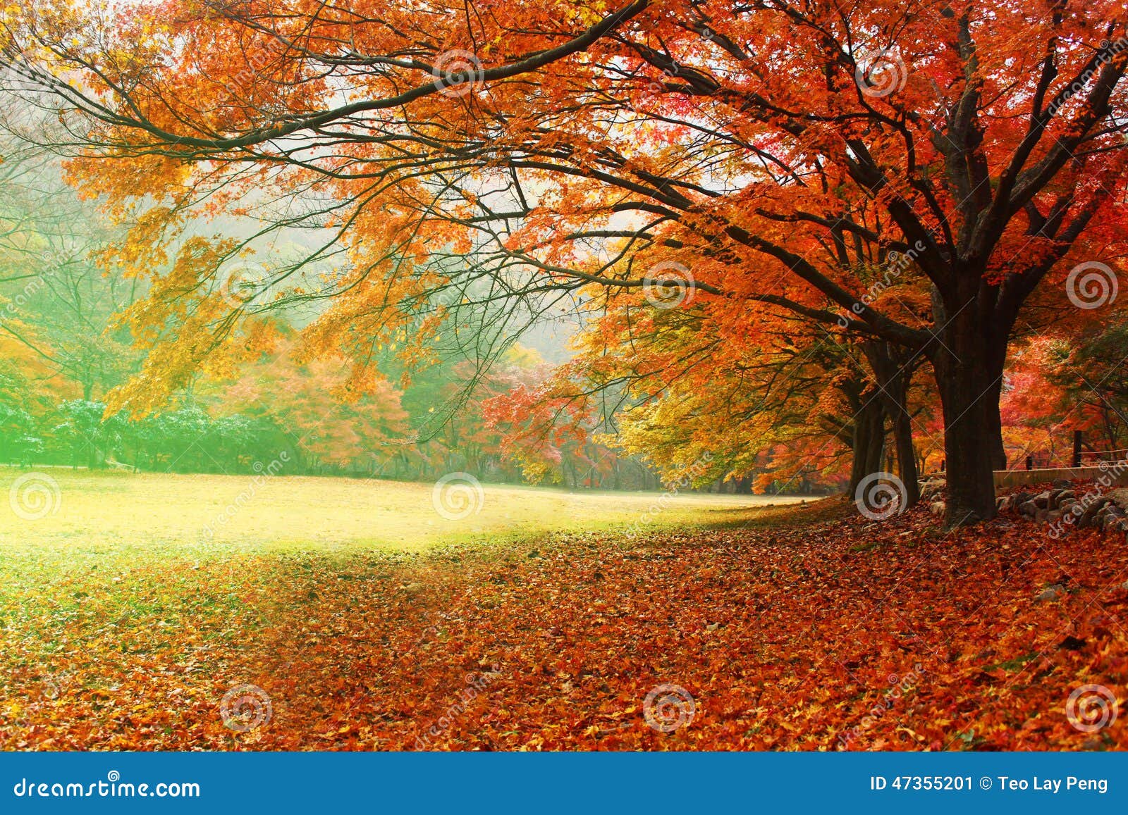 Red Leaf Seasons Stock Photo - Image: 47355201