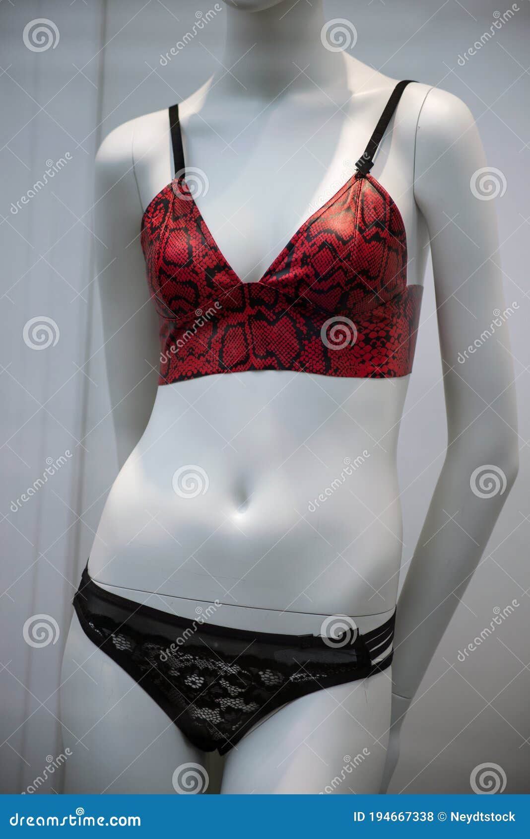 https://thumbs.dreamstime.com/z/red-leather-bra-black-cheeky-mannequin-fashion-store-showroom-closeup-194667338.jpg