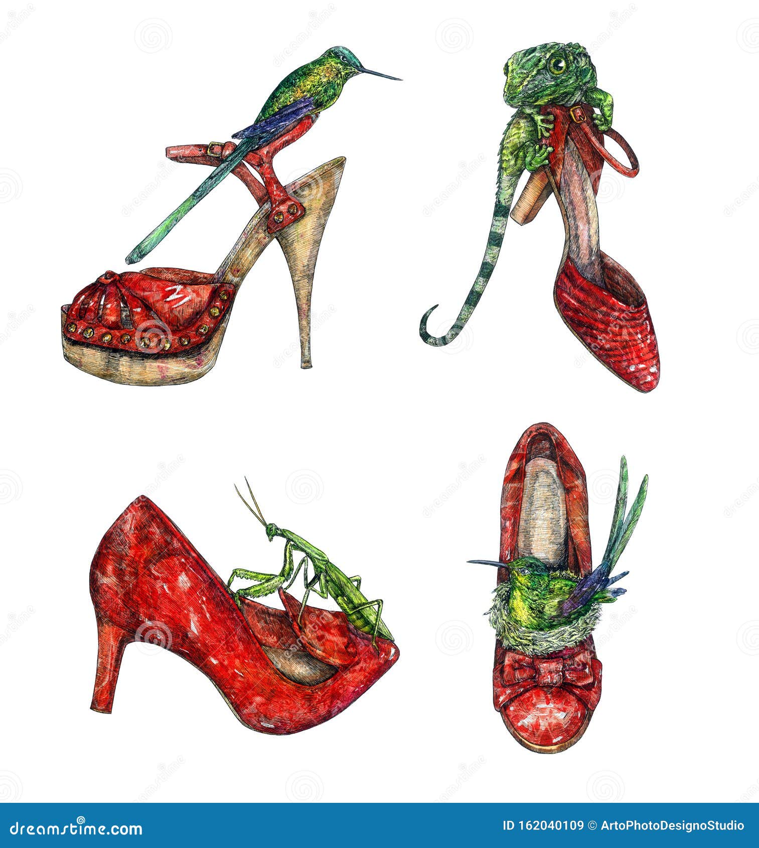 hummingbird shoes