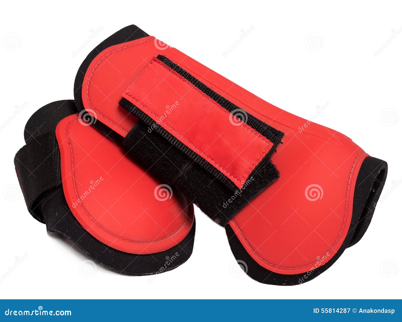 Red Leg Protectors for Horse on White Stock Image Image of horse