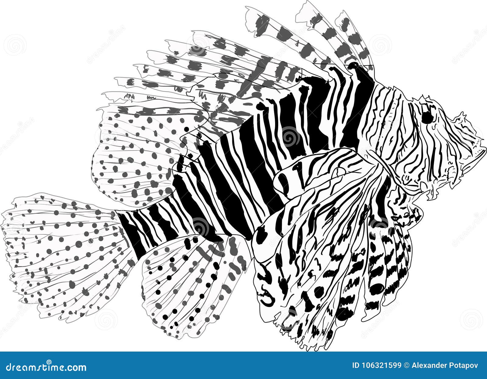 Download Red Lionfish Sketch Isolate On White Stock Vector ...