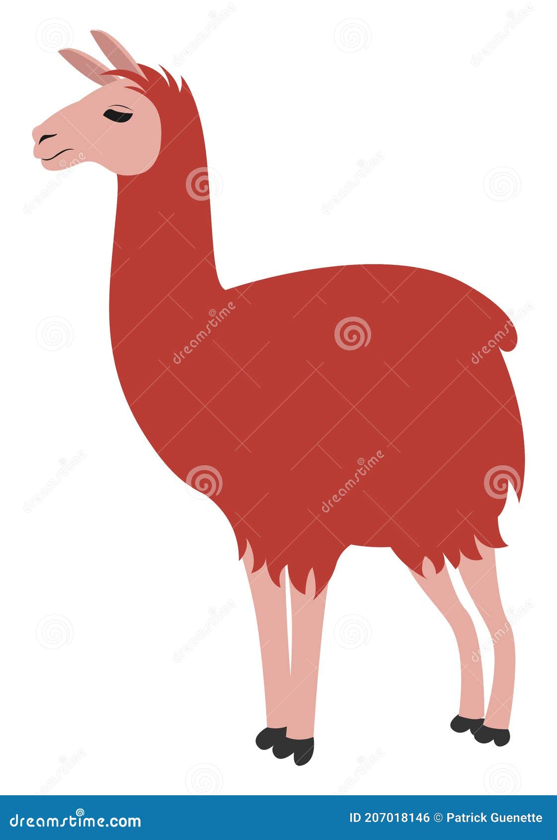 Red Llama, Illustration, - Illustration of vector, cartoon: 207018146