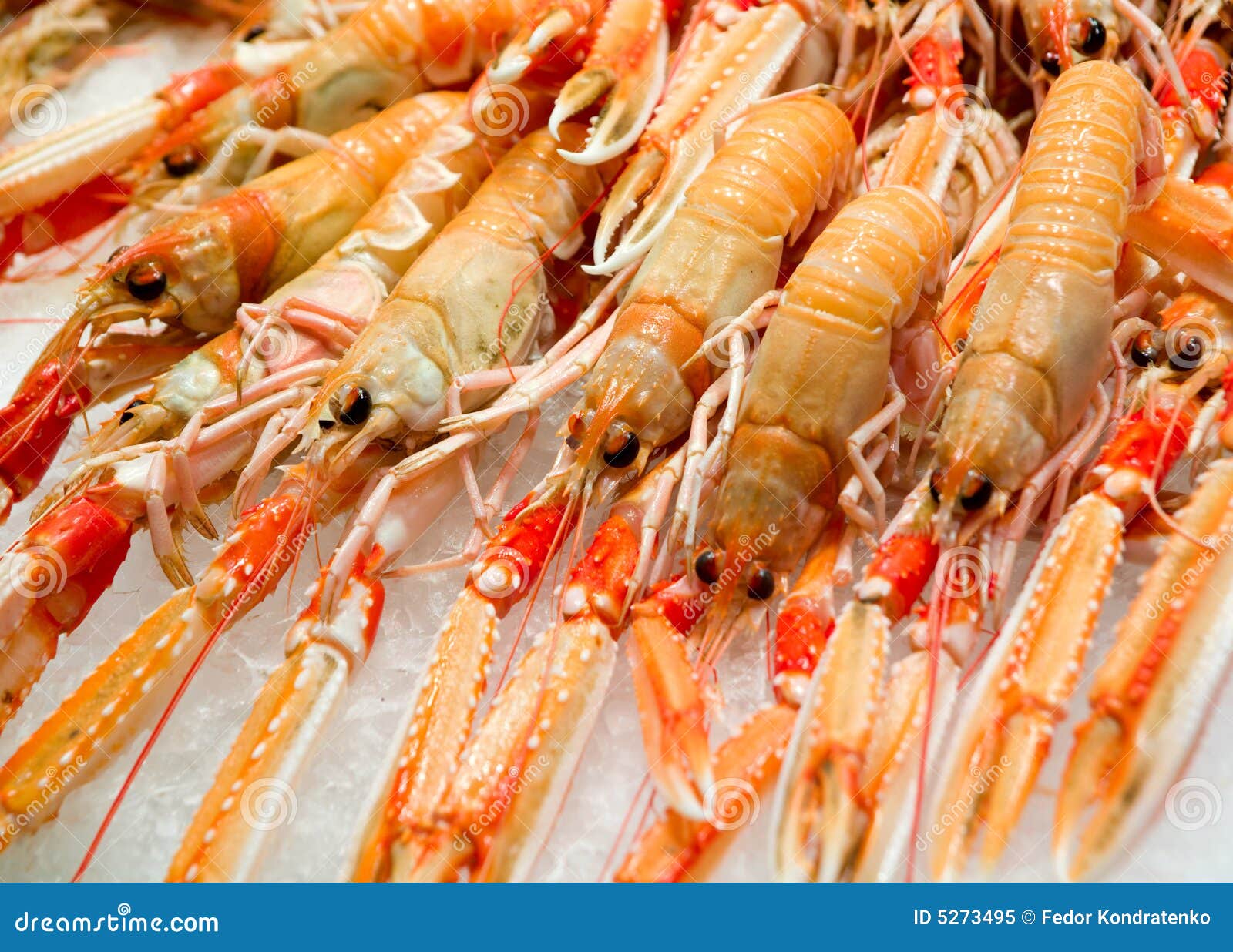 Red lobsters on ice stock image. Image of displayed, gourmet 5273495