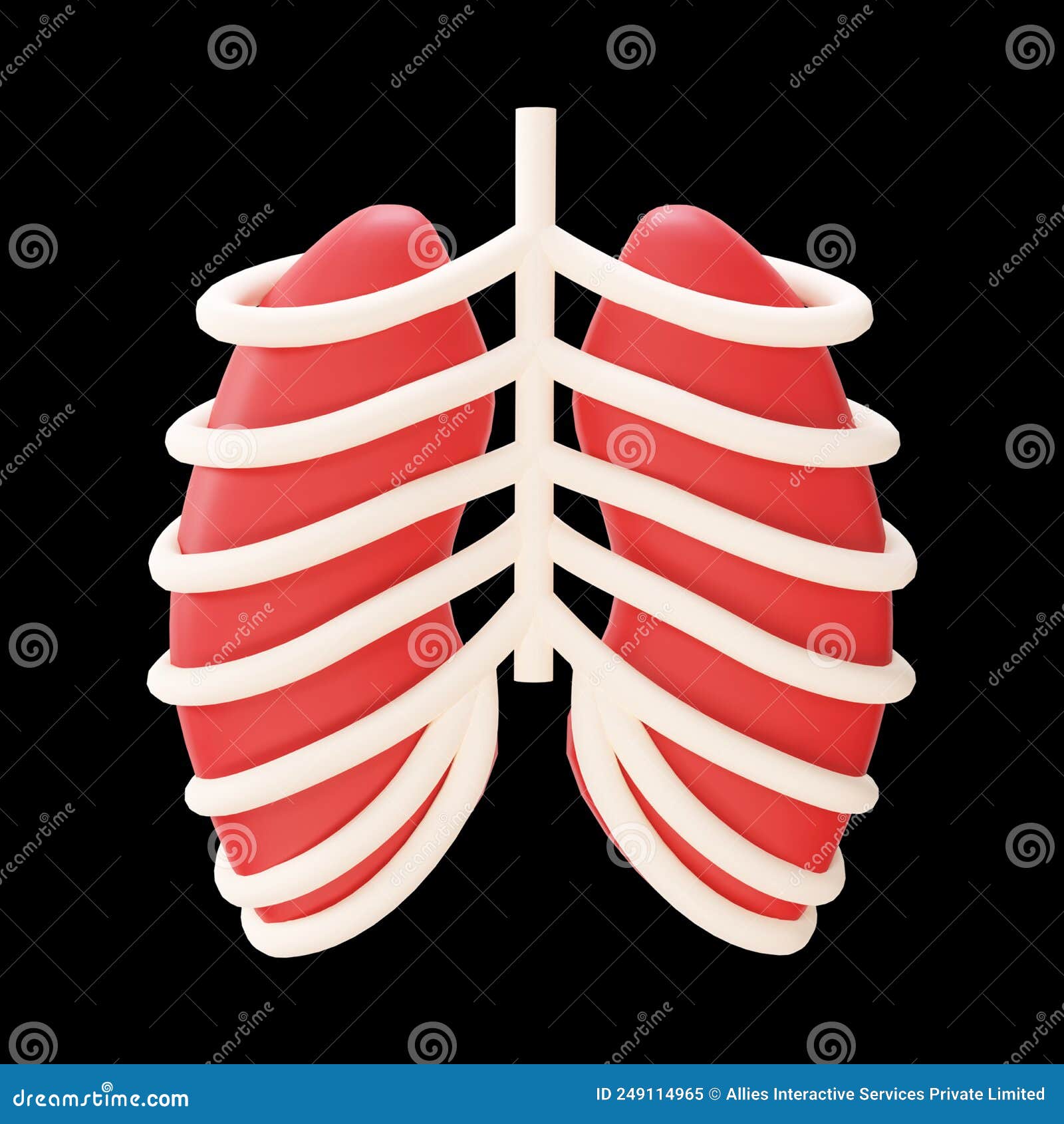 Red Lungs with Rib Cage 3D Element on Black Stock Illustration