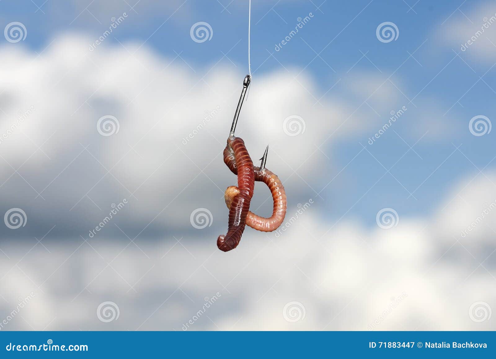 Red Metal Worm Writhing on a Fish Hook Stock Image - Image of grass,  hanging: 71883447
