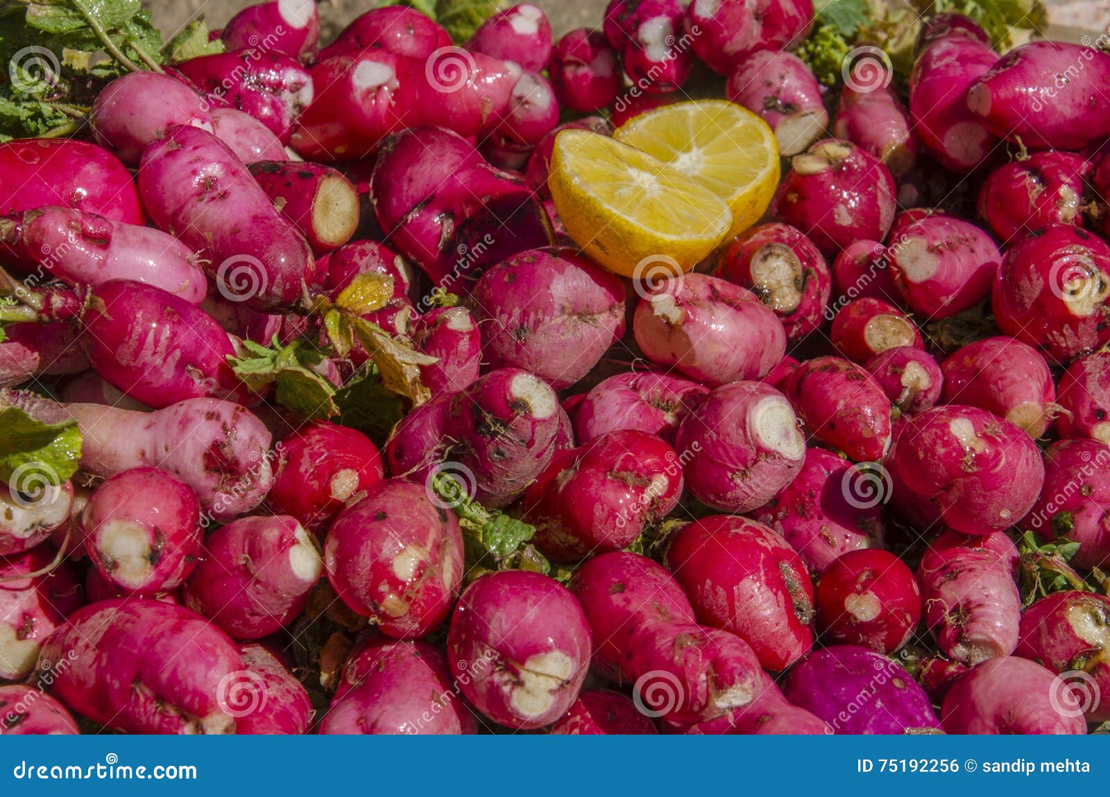 Red - Mooli Healthy Eating Vegetarian - Stock Photo - Image of cooking