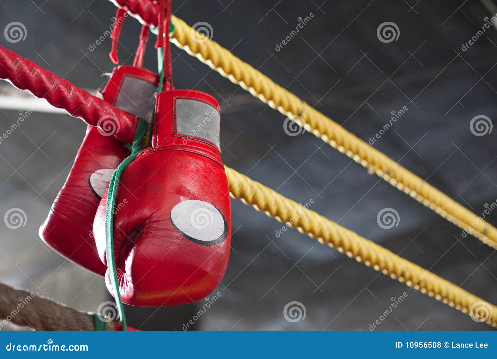 Red Muay Thai Boxing Gloves in Fighting Ring Stock Photo Image of