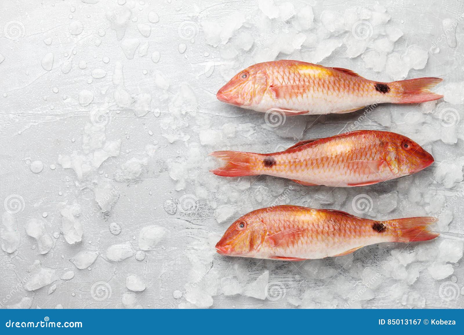 Red Mullet Fish On Icy Background Stock Image Image of