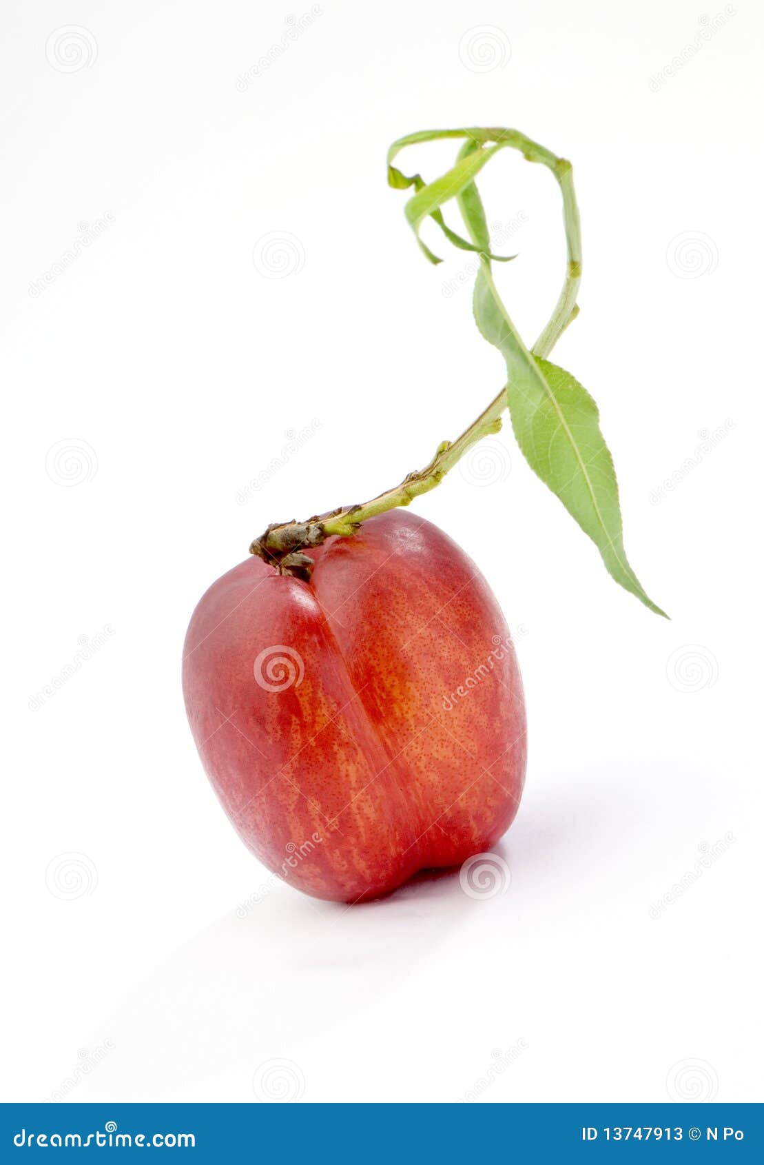 Red nectarine stock image. Image of juicy, object, diet 13747913
