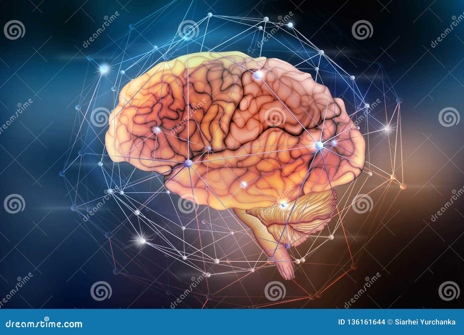 Red Neuronal Artificial Inteligencia De Ordenador Basada En Las Células