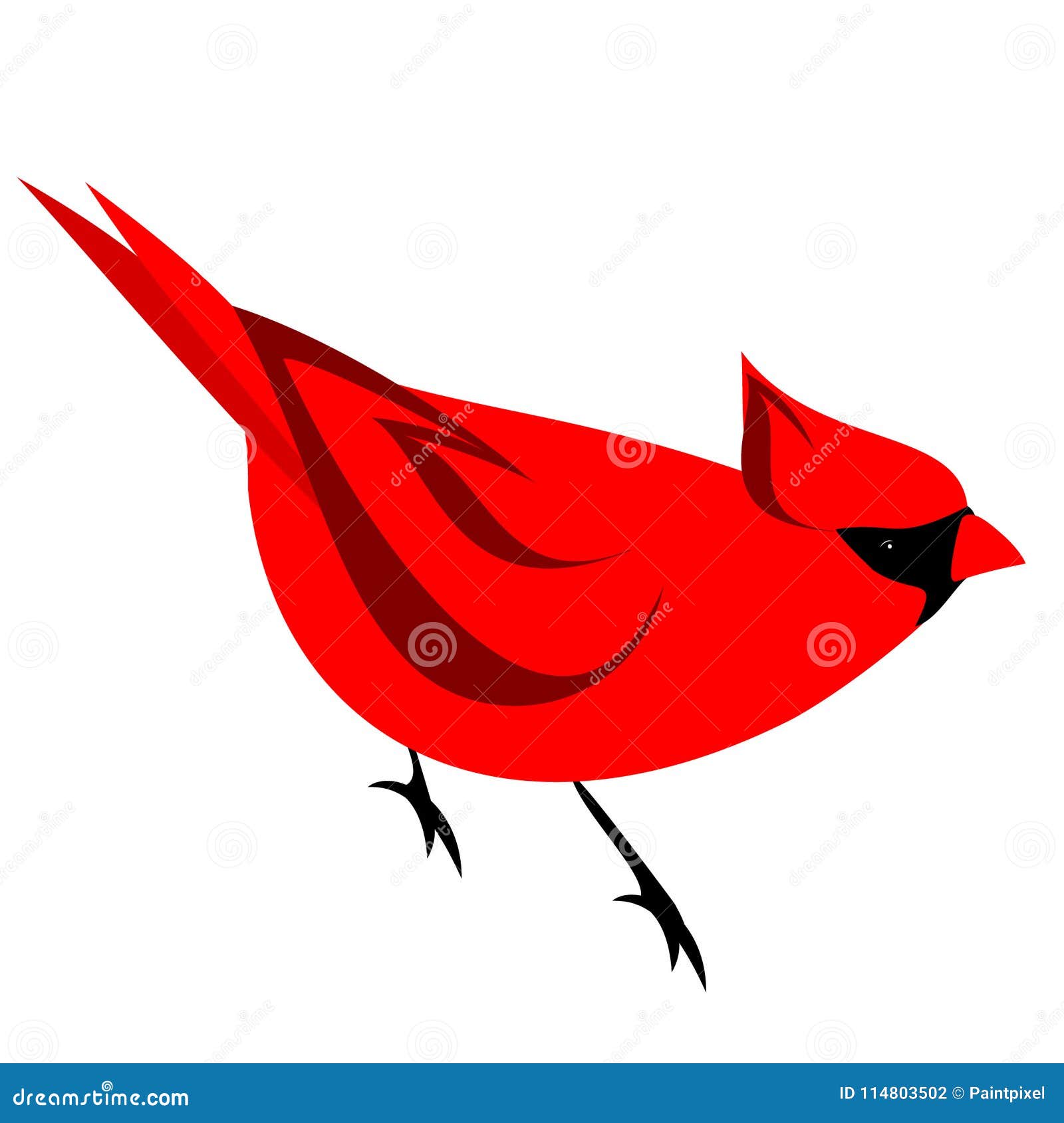 Red Northern Cardinal Bird Clipart Stock Vector - Illustration of ...