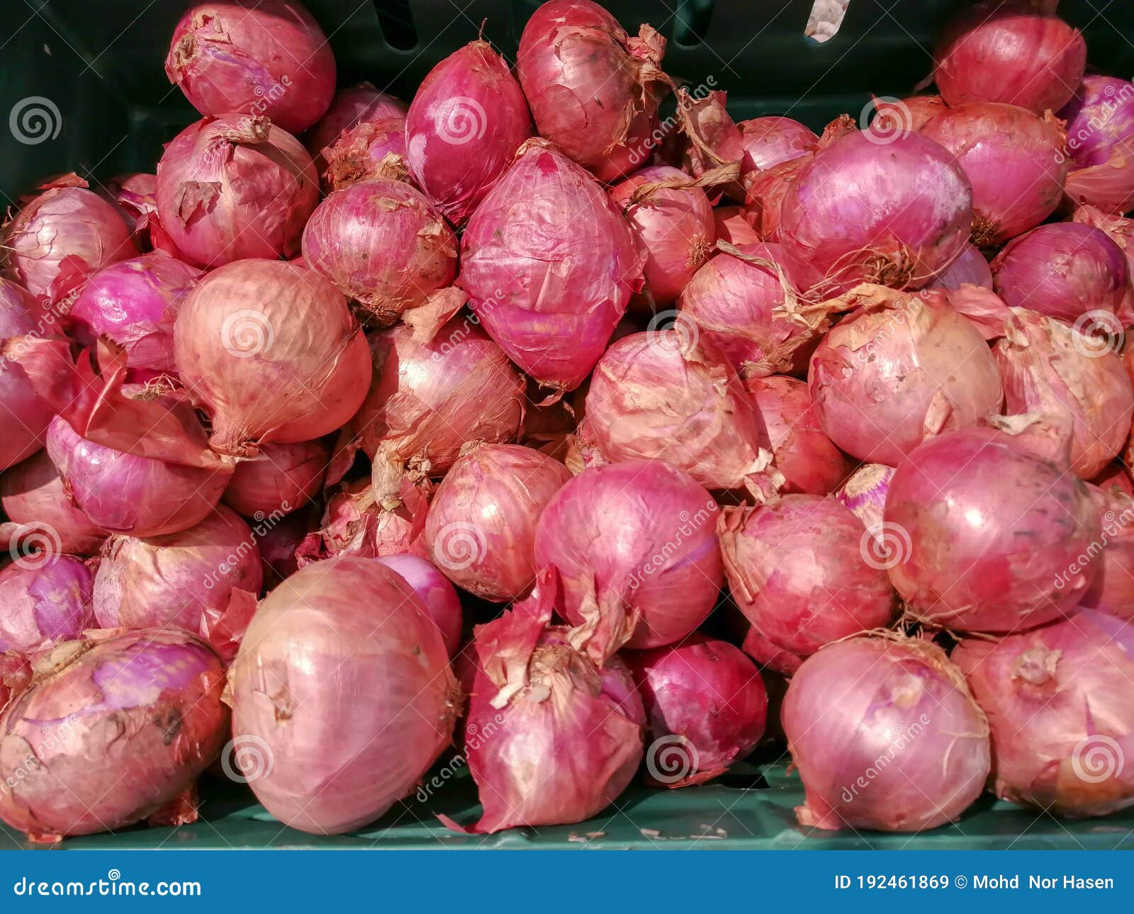 red onion or bawang merah.