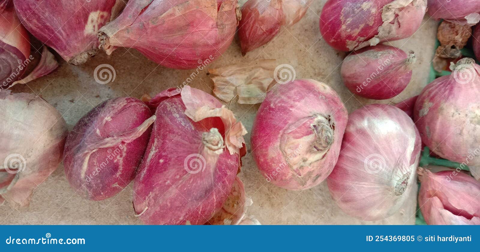 The Red Onion Look Dirty and Dry. Stock Image Image of vegetable, dirty 254369805