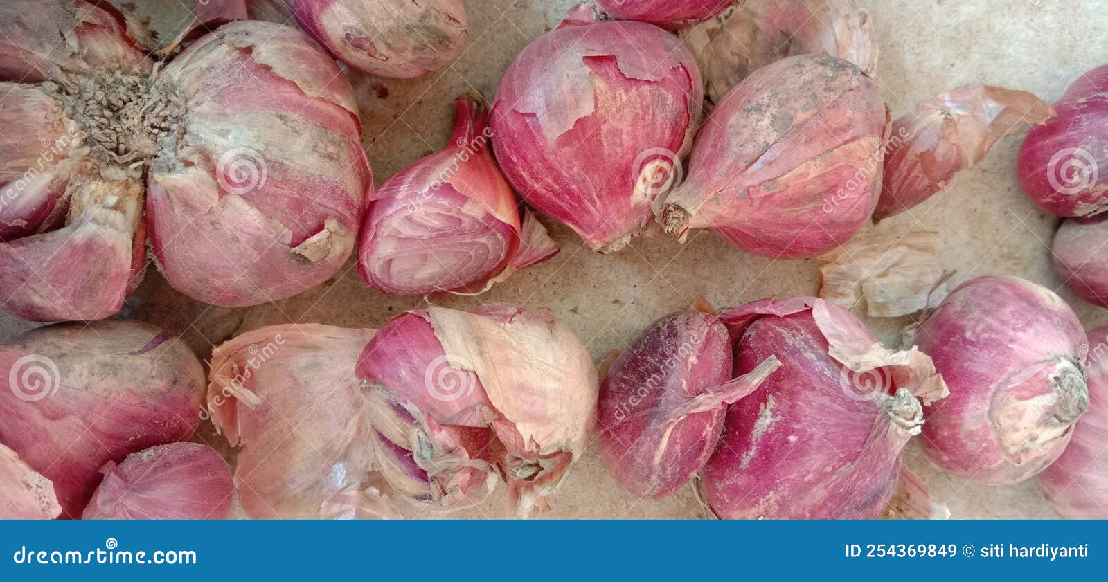 The Red Onion Look Dirty and Dry. Stock Image Image of dirty, onion