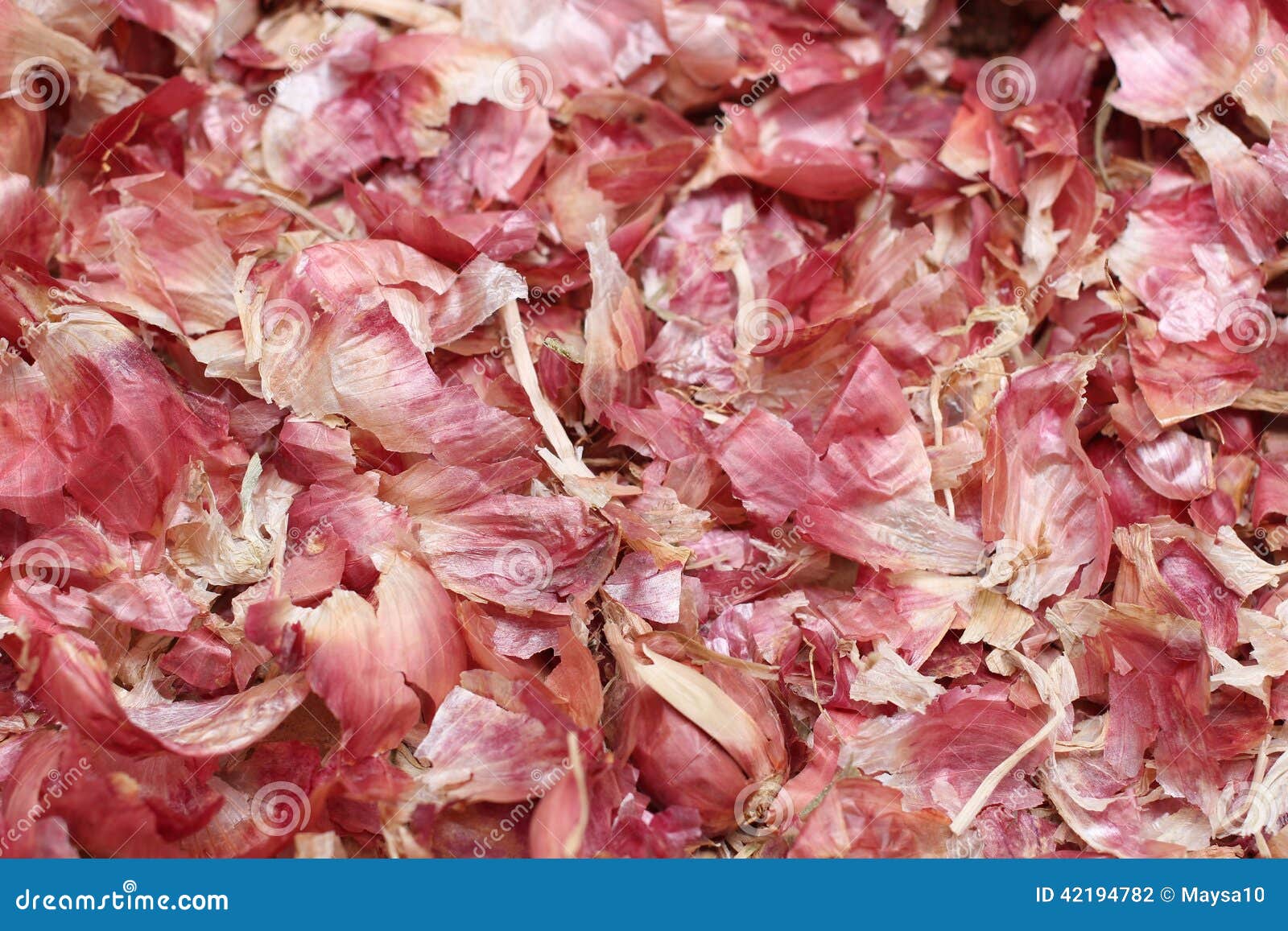 Red onion peel stock photo. Image of meal, crop, color 42194782