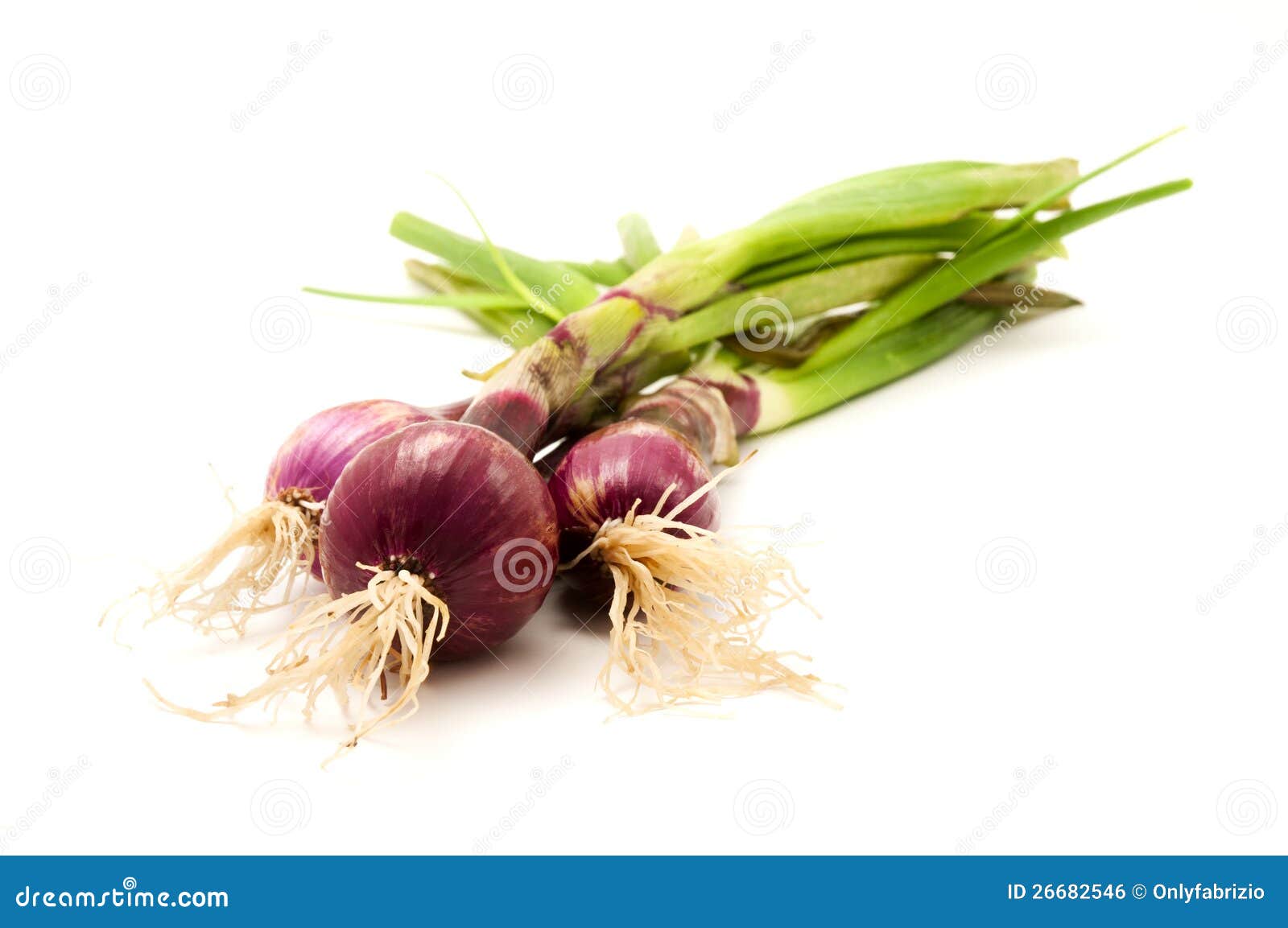 Red onions stock photo. Image of vegetable, isolated 26682546