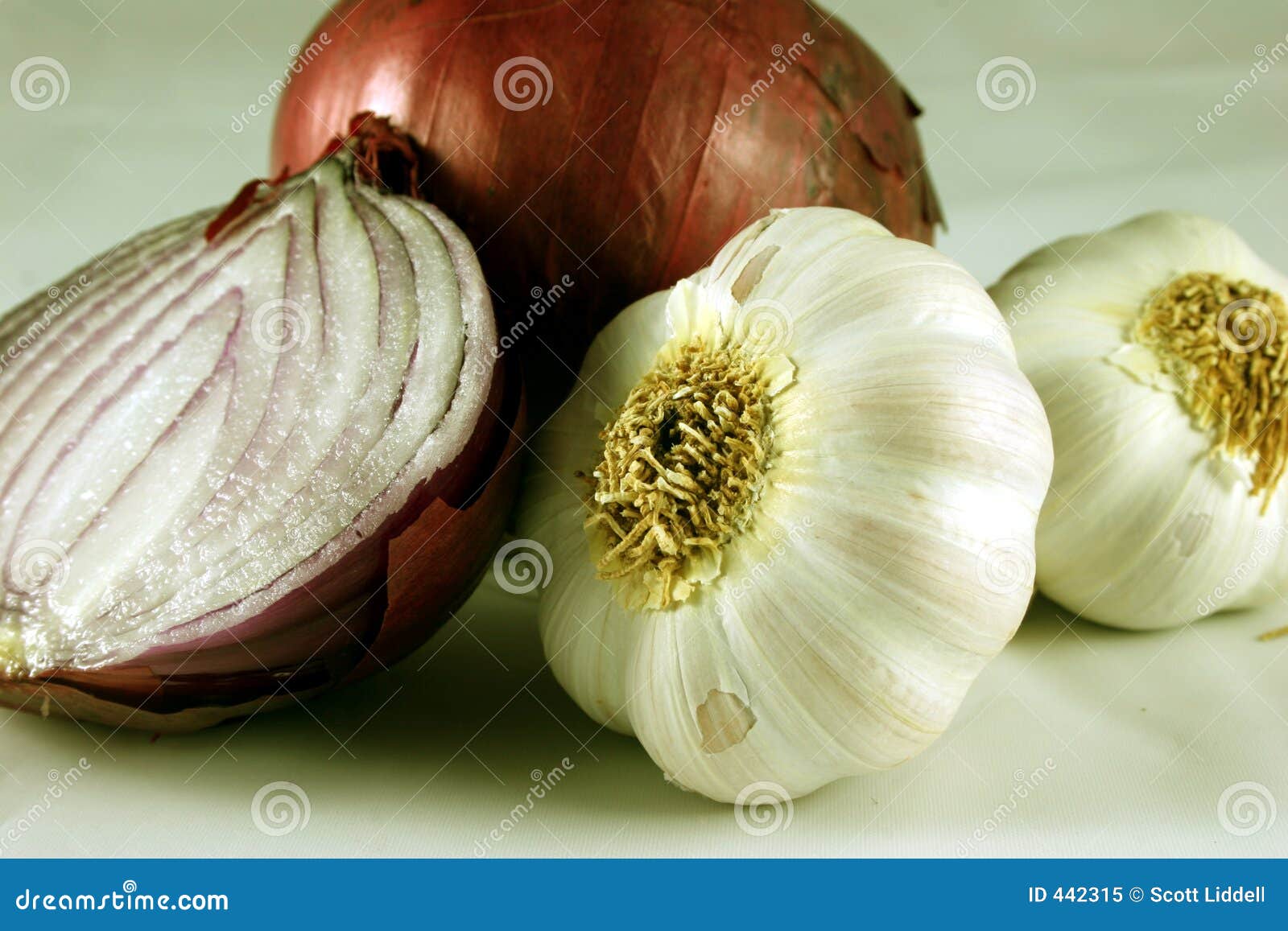 Red Onions and Garlic Cloves Stock Image Image of recipe, cloves 442315