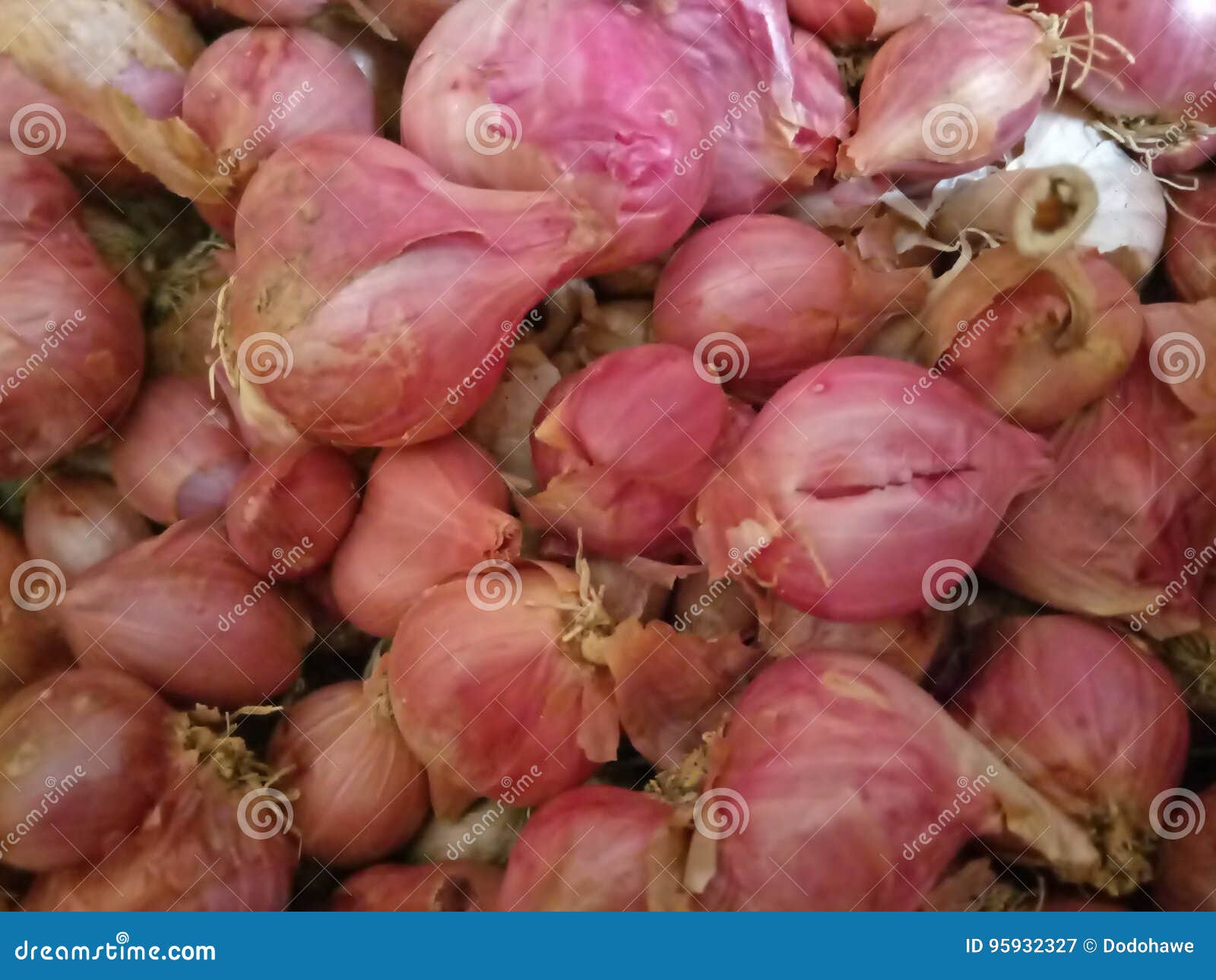 Shallots Indonesian Red Onion Traditional Organic Stock Photo 2287958019