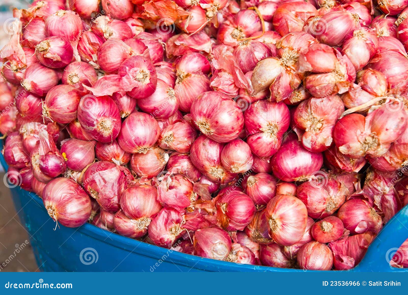 Market Onion Market Onion