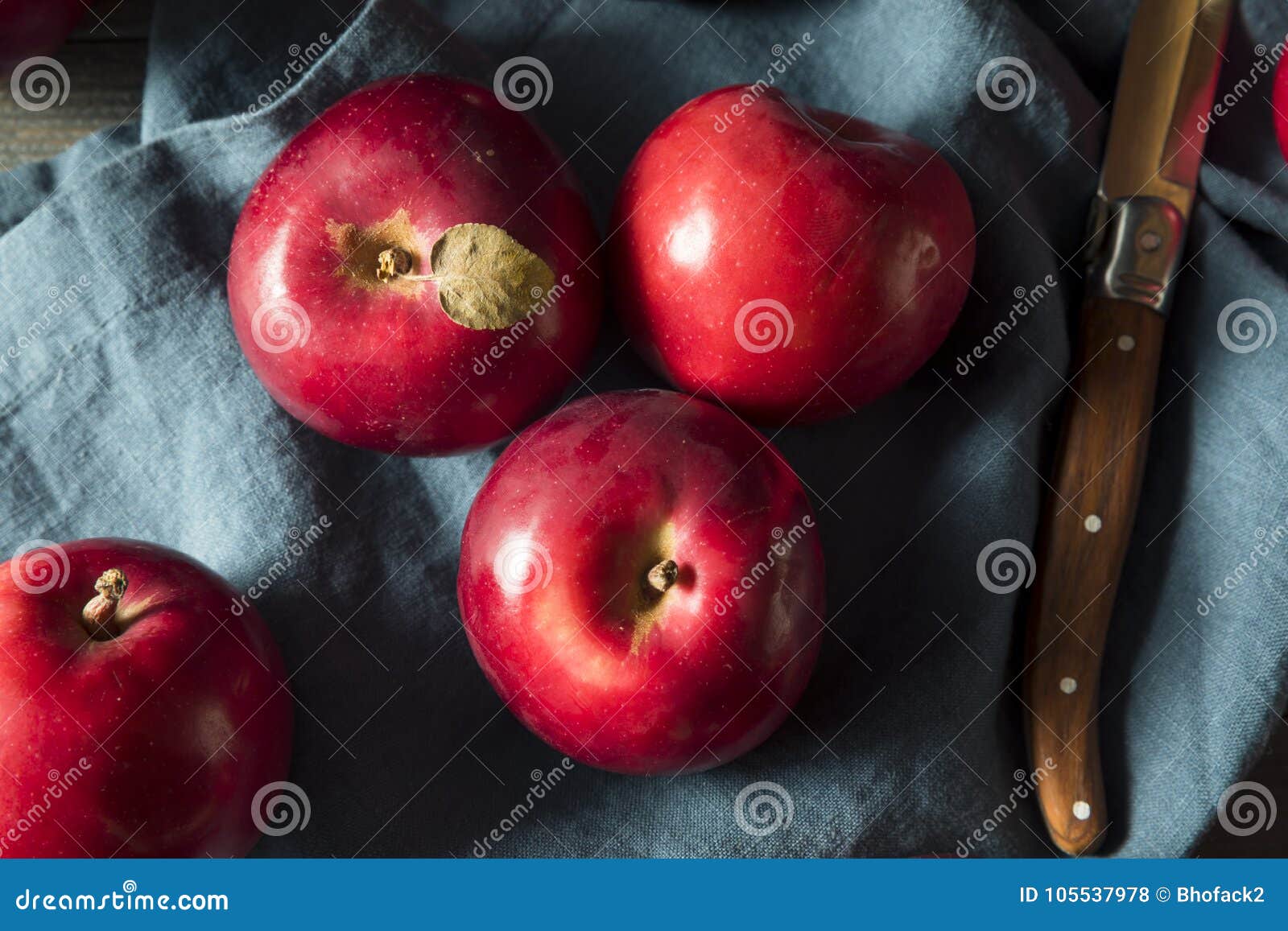 Red Organic Macintosh Apples Stock Photo Image of macintosh, food
