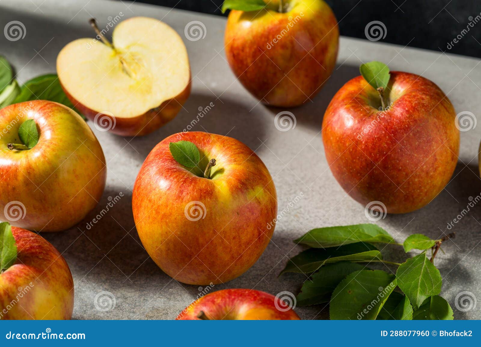 Red Organic Raw Envy Apples Stock Photo Image of organic, ingredient
