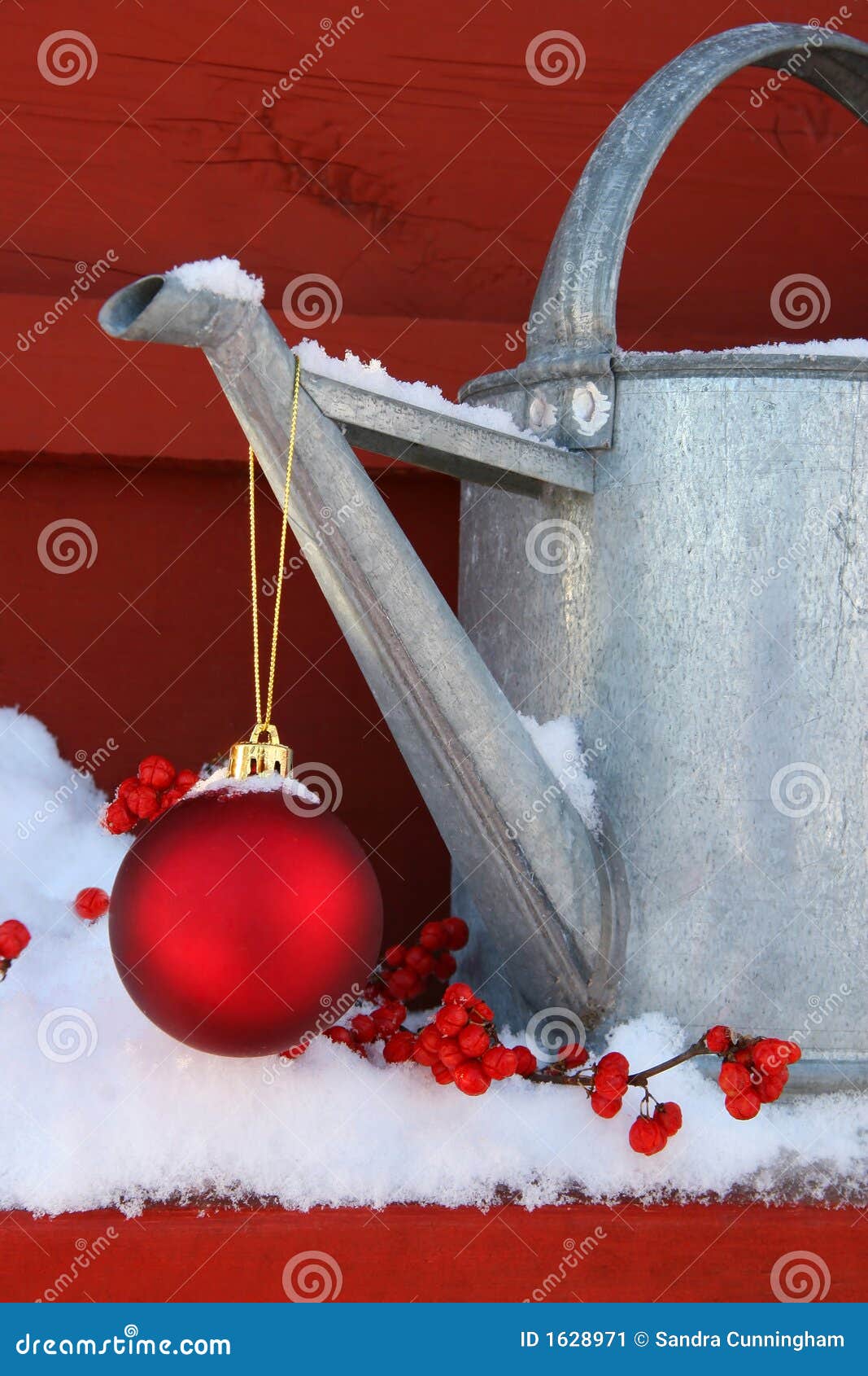 Red Ornament on Watering Can Stock Image Image of nature, happy 1628971
