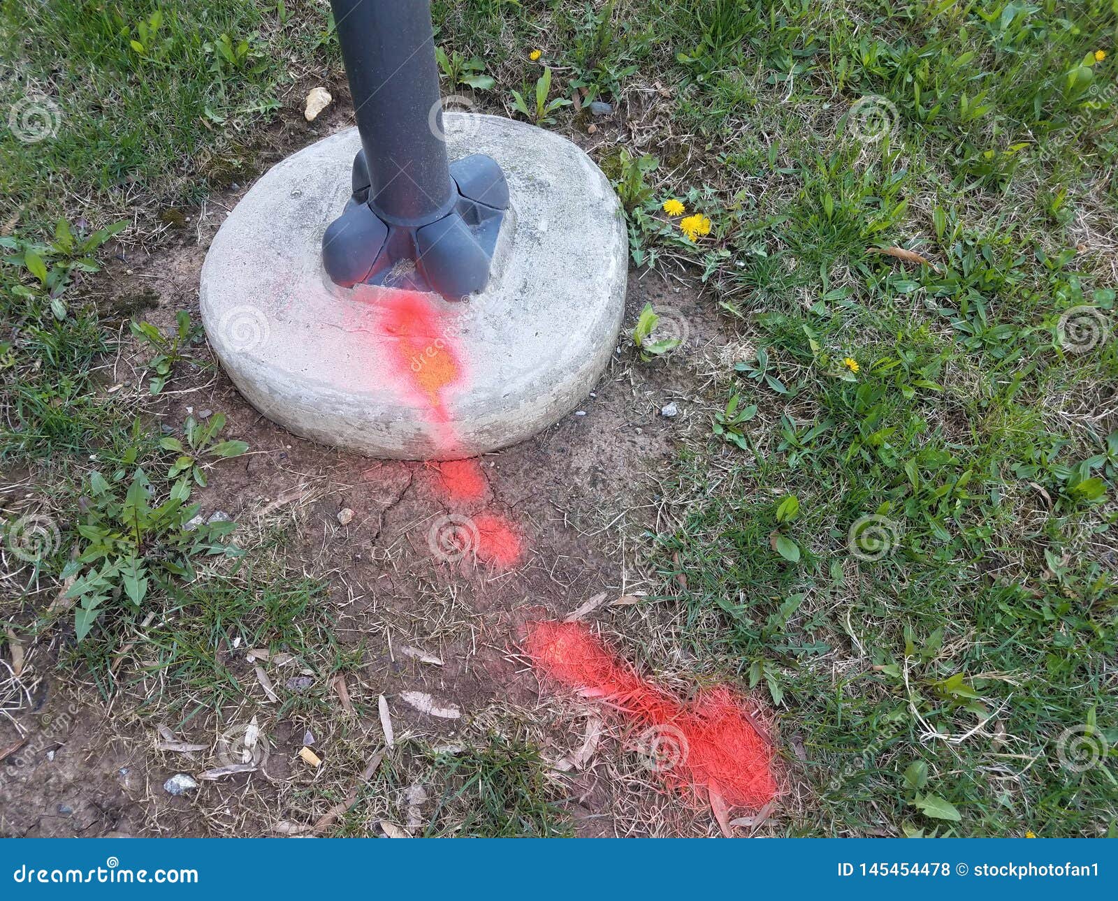 Red Paint on Grass or Ground and Street Light Stock Photo Image of