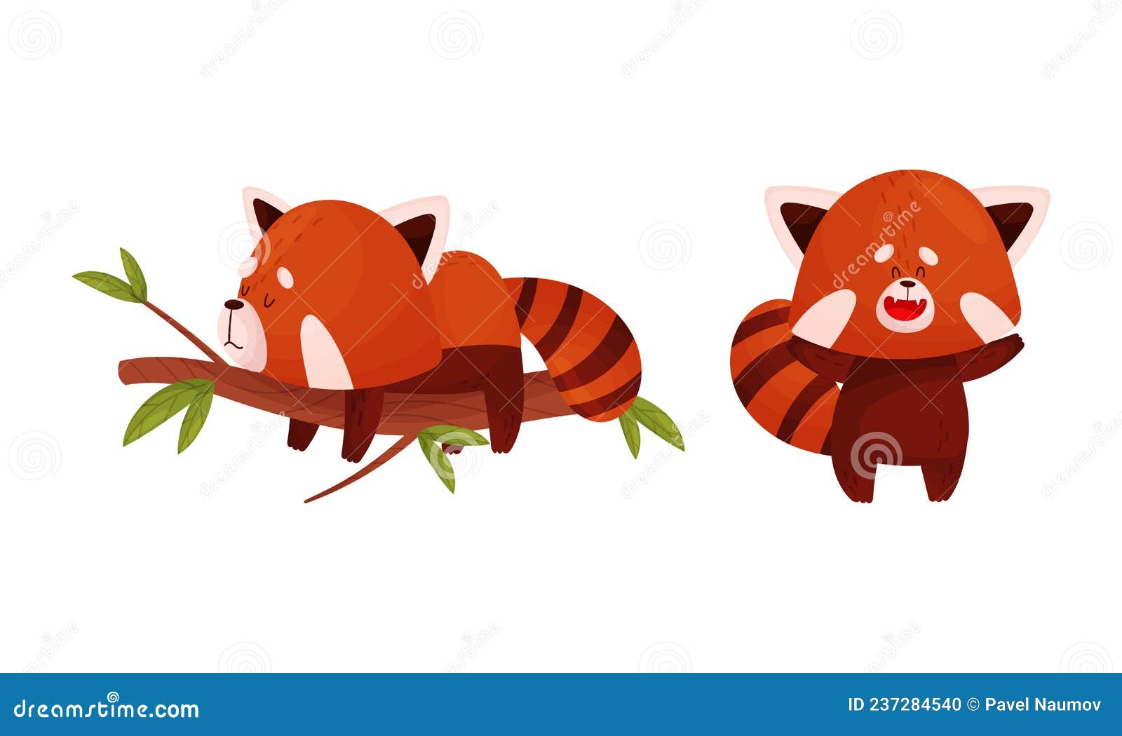 red panda in different actions set. cute wild animal character sleeping on tree branch and having fun 
