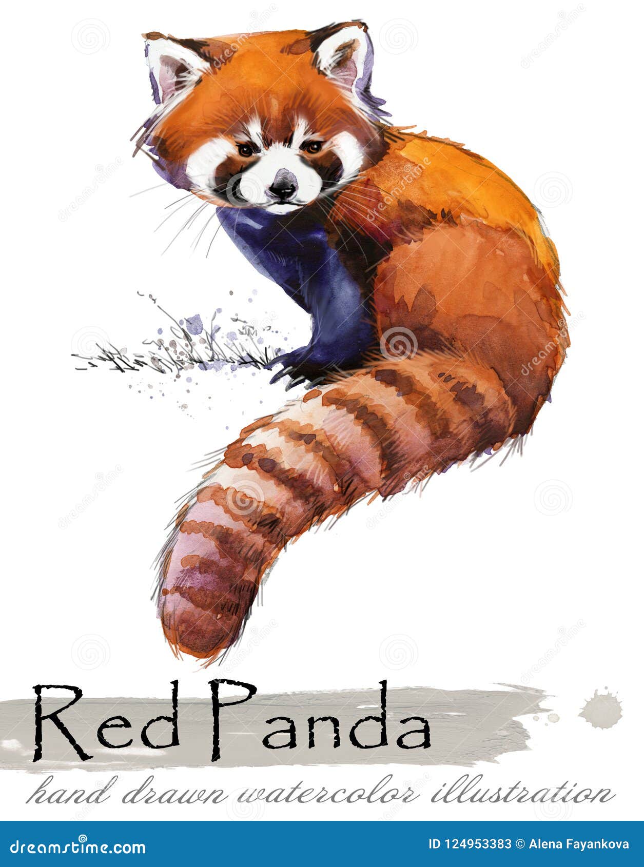 Cute cartoon Red Panda stock vector. Illustration of mammal - 230664380