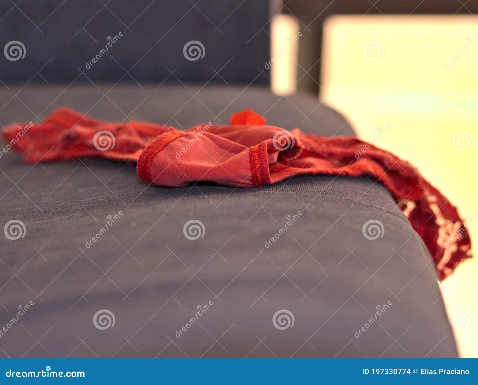 Red panties on the couch. stock photo. Image of desire - 197330774