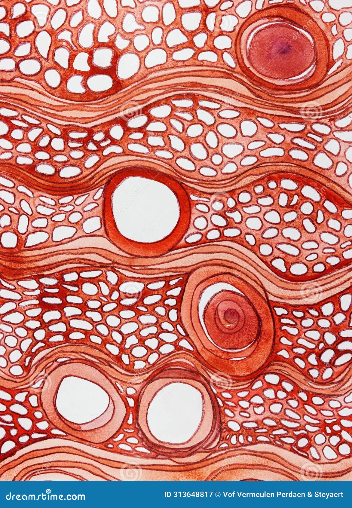 red patterns and cicles flowing.