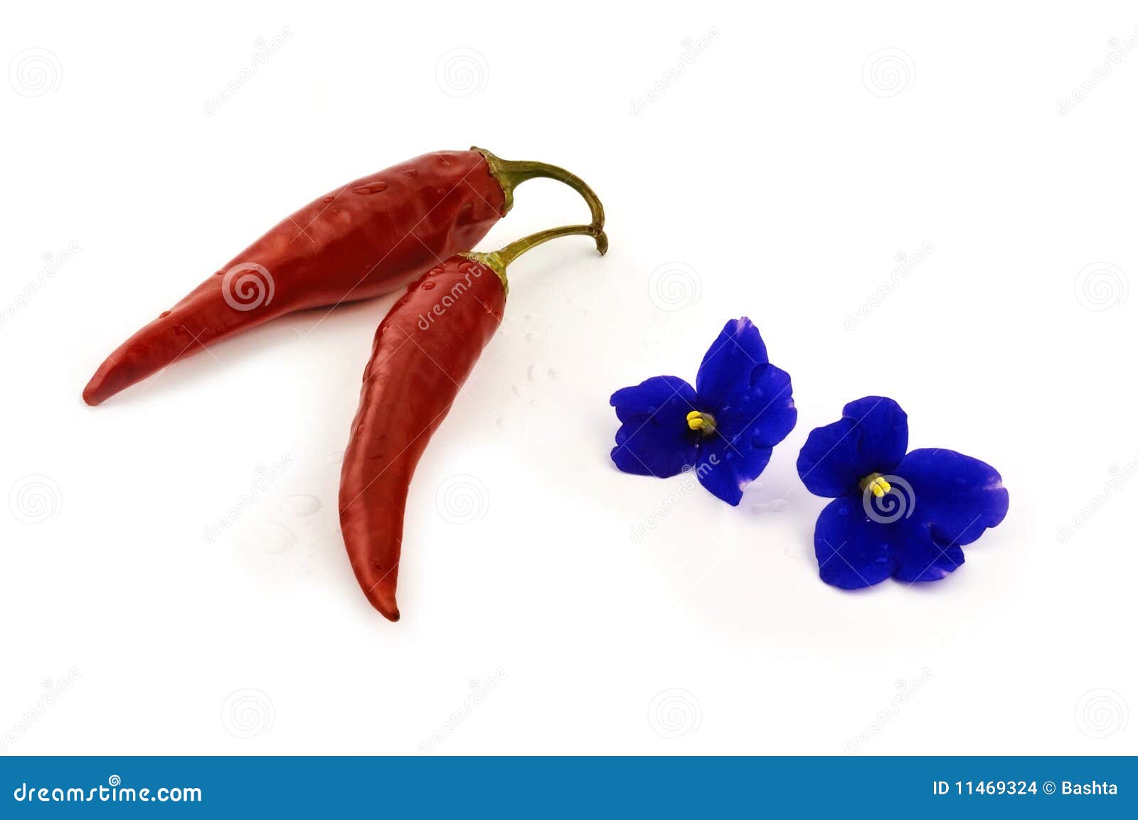 Red Peppers and Blue Flowers Stock Photo Image of pepper, drops 11469324