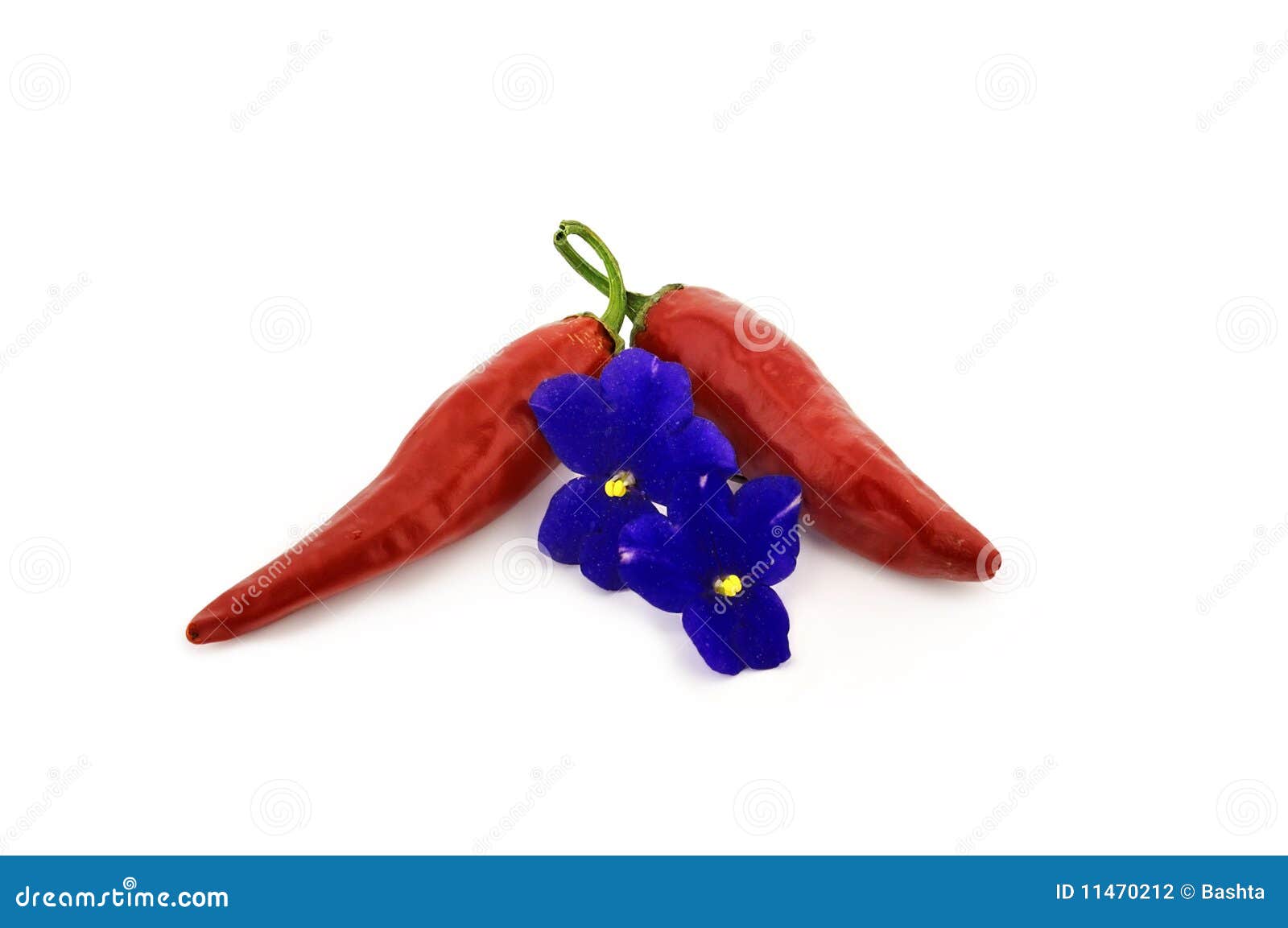 Red Peppers and Blue Flowers Stock Photo Image of blue, plants 11470212
