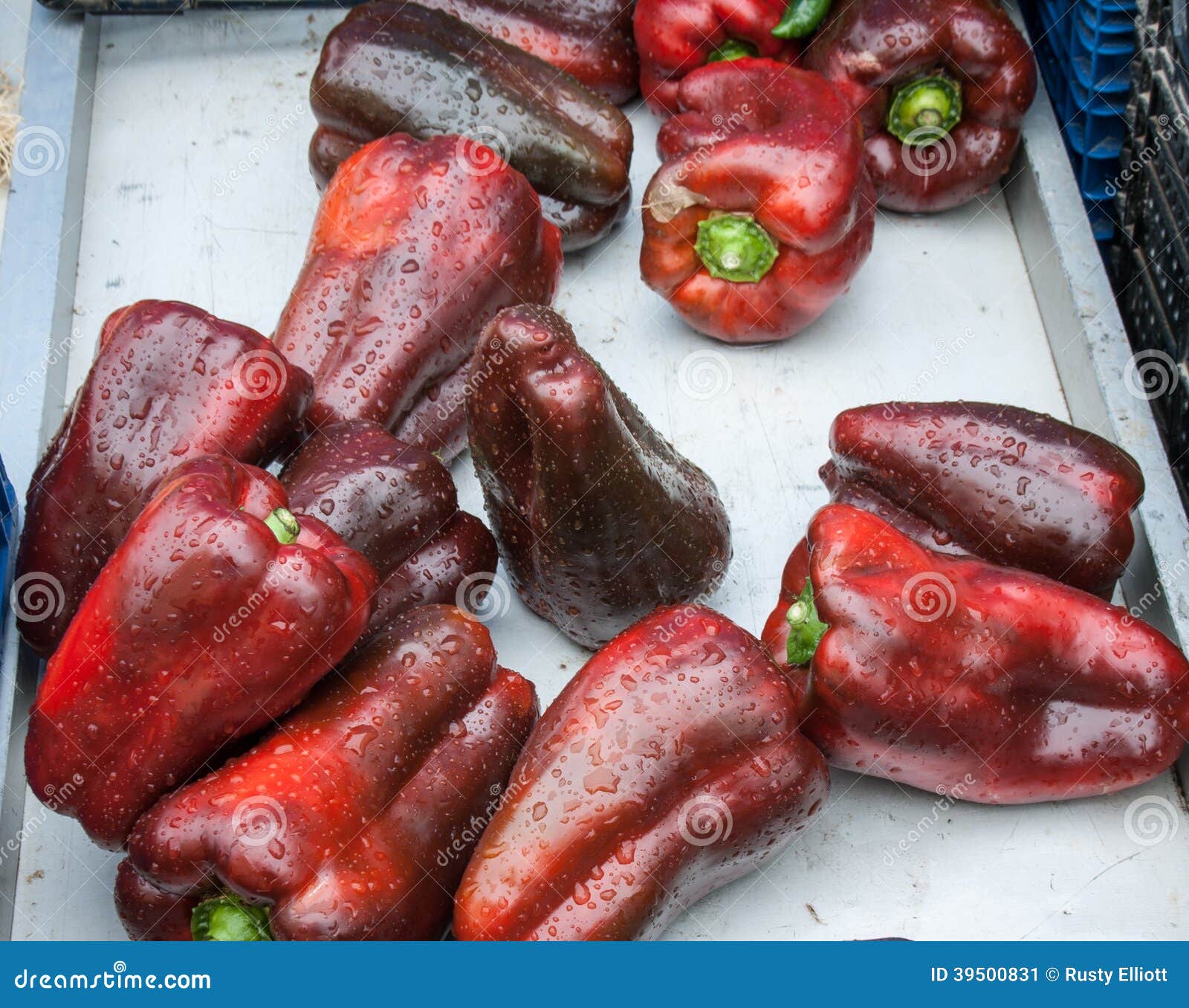 Red peppers stock image. Image of pepper, peppers, paprika 39500831