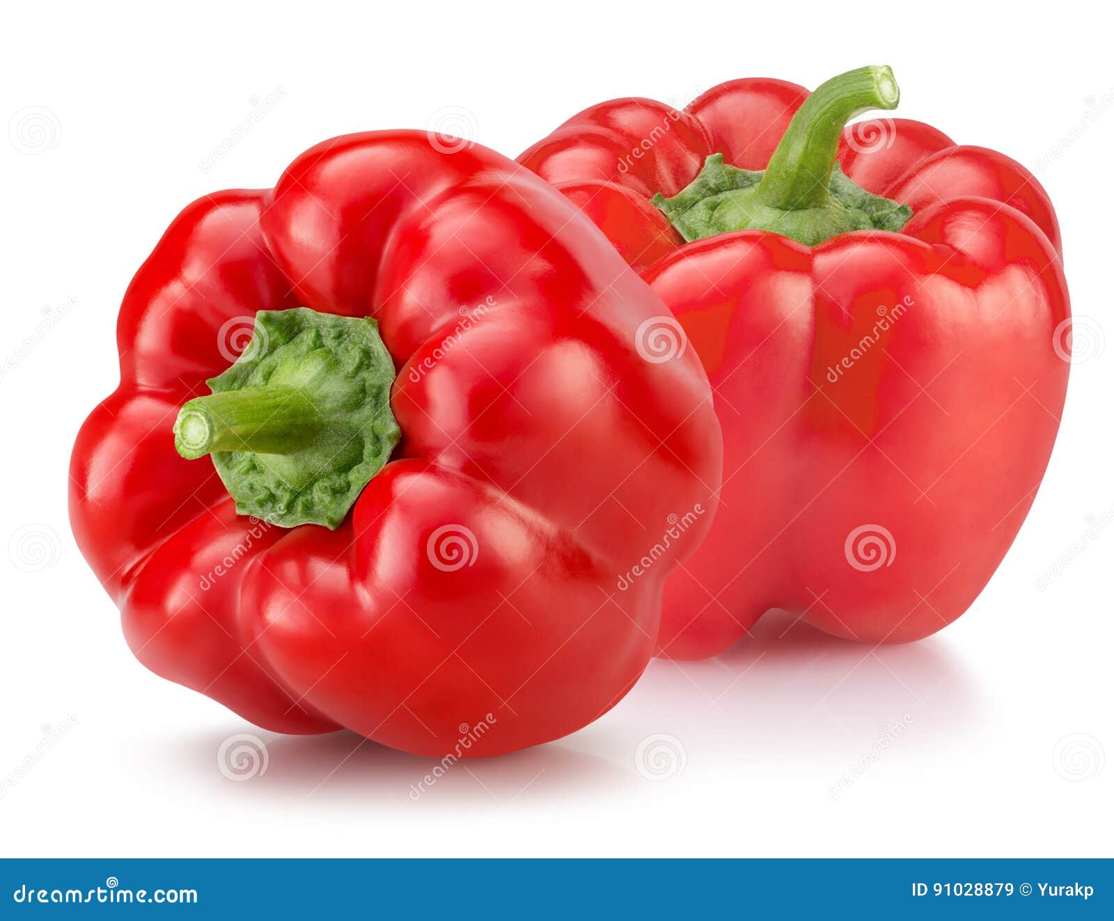 Red Peppers Isolated on the White Background Stock Image Image of