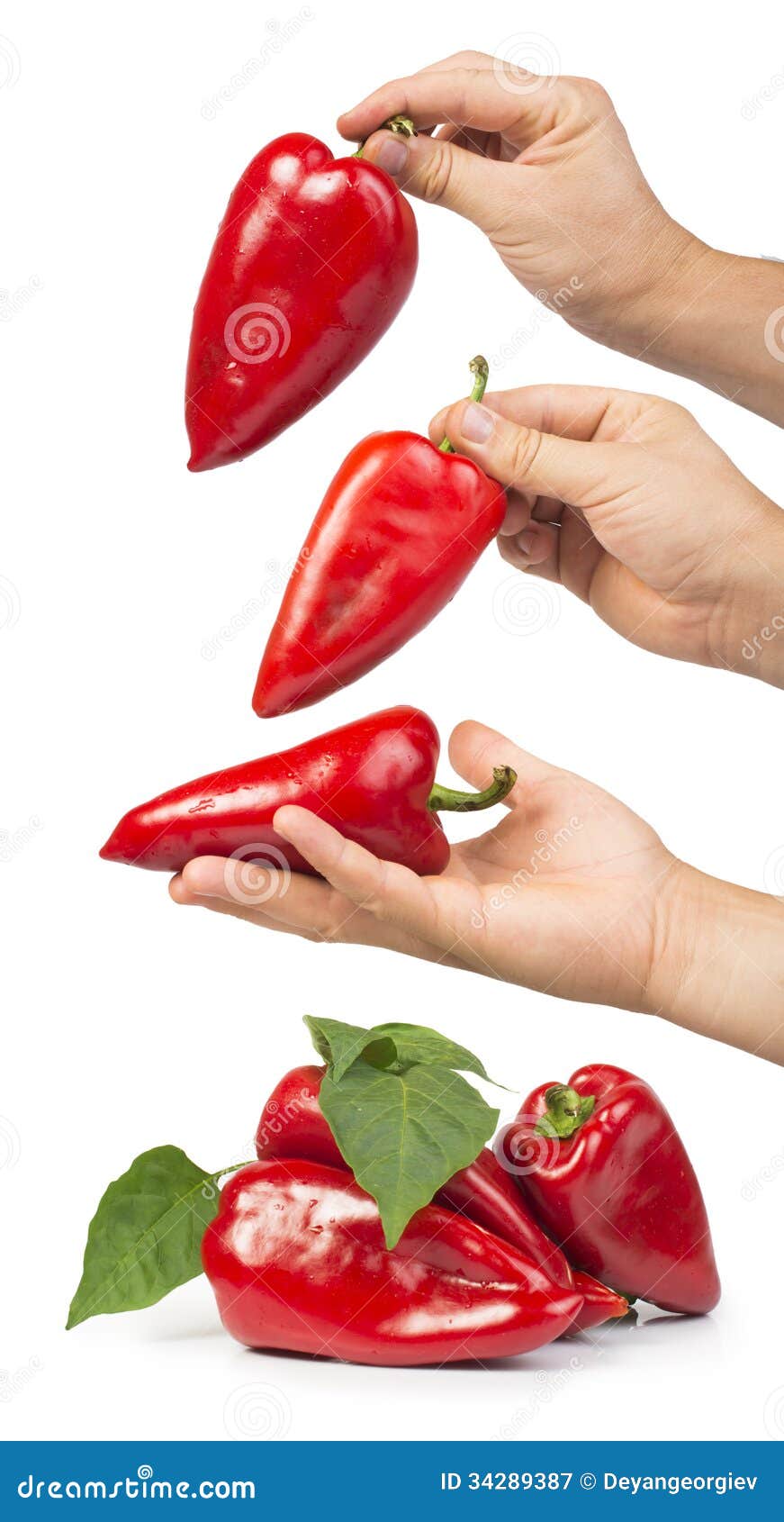 Red peppers and leaves stock image. Image of tasty, organic 34289387