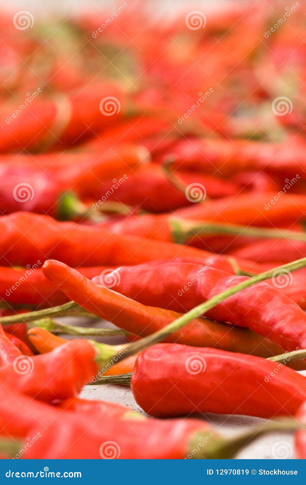 red peppers - shallow dof