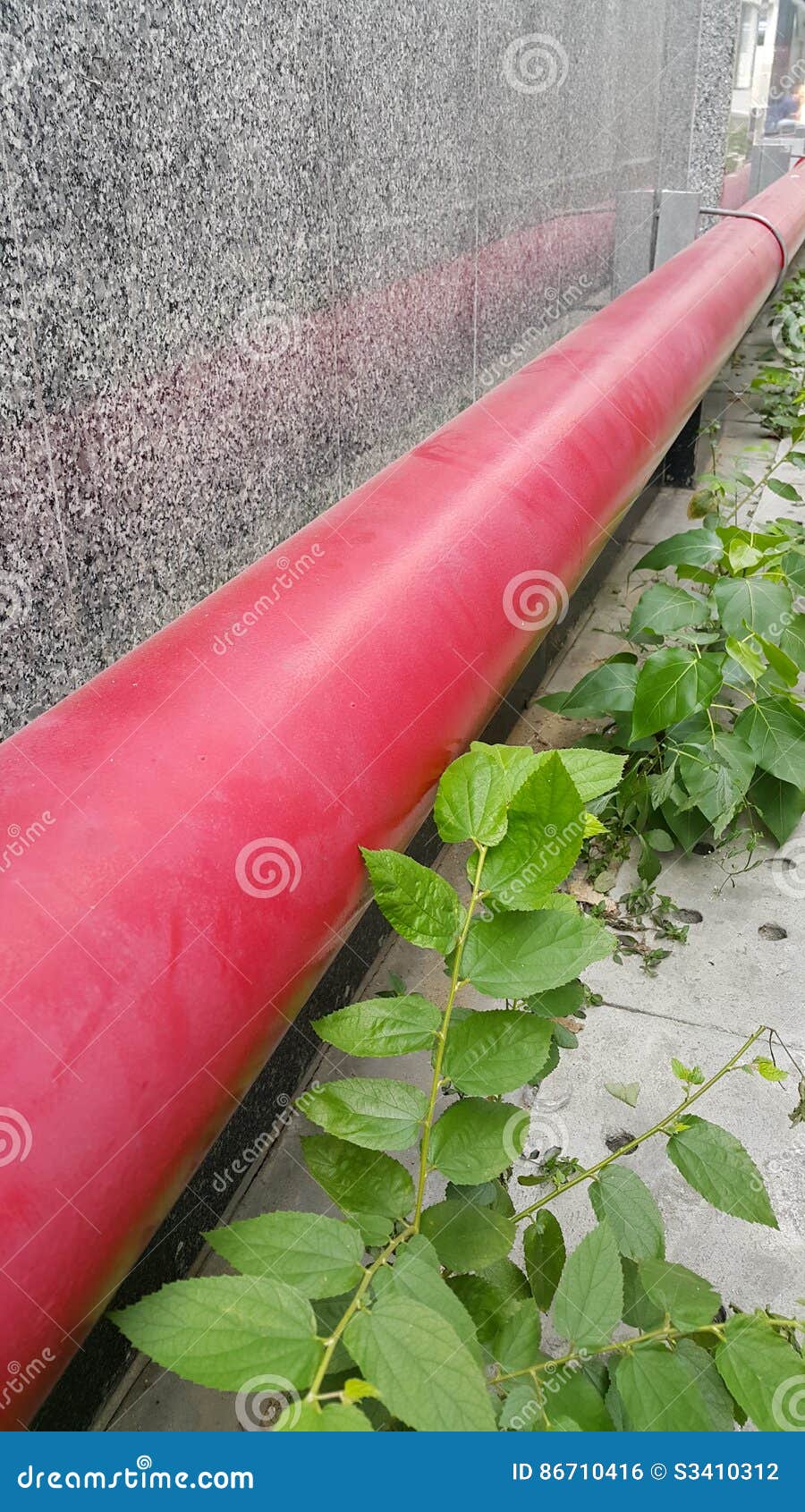 Red Pipe and the Green Plant. Stock Photo Image of control, steel 86710416