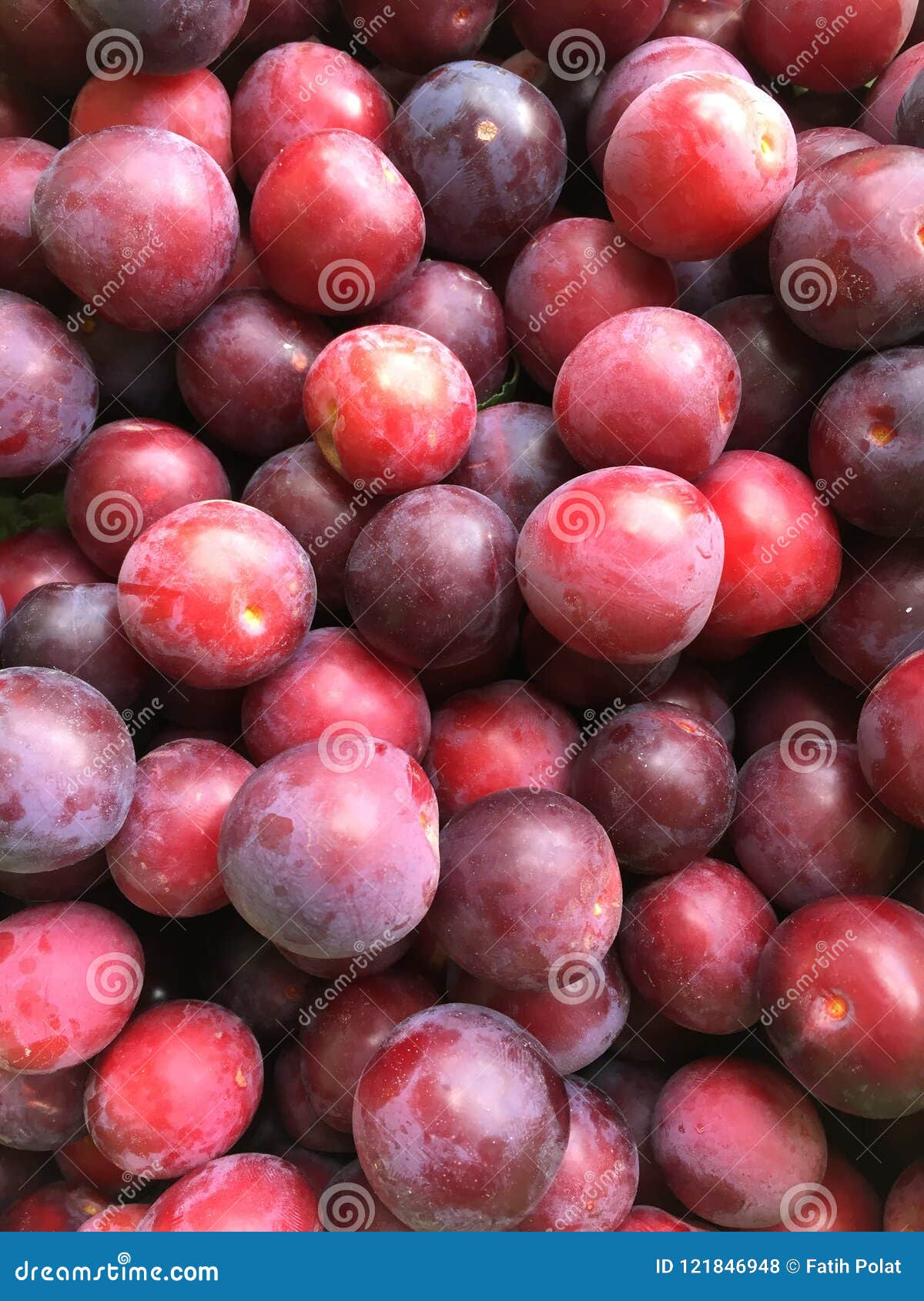 Red Plum stock photo. Image of tasty, food, delicious 121846948