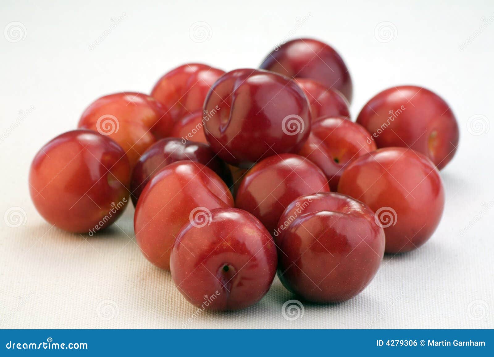 Red plums stock photo. Image of grown, grow, nutrition 4279306